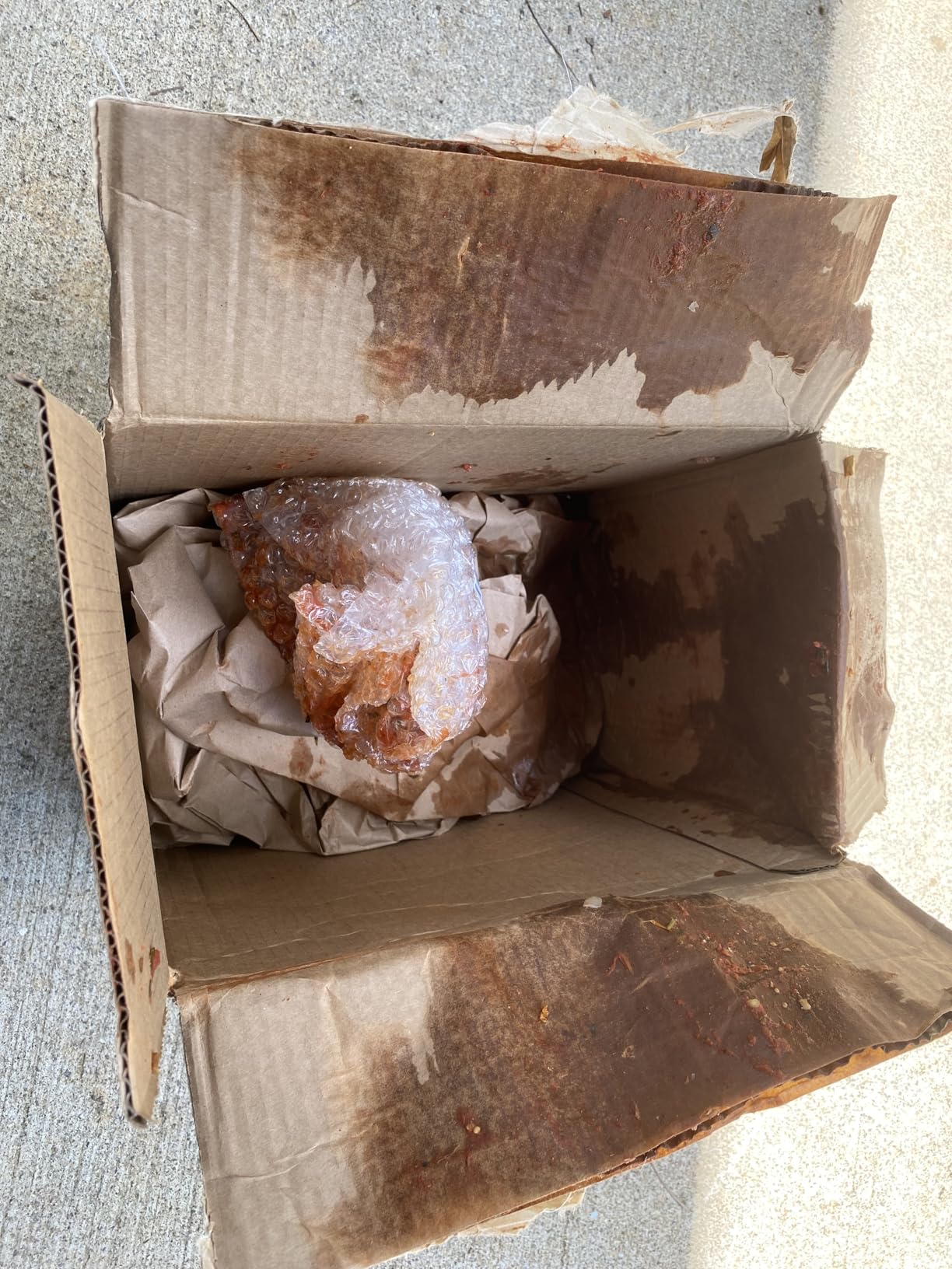 Green Mountain Gringo Mild Salsa, 16 oz - Customer Photo 1