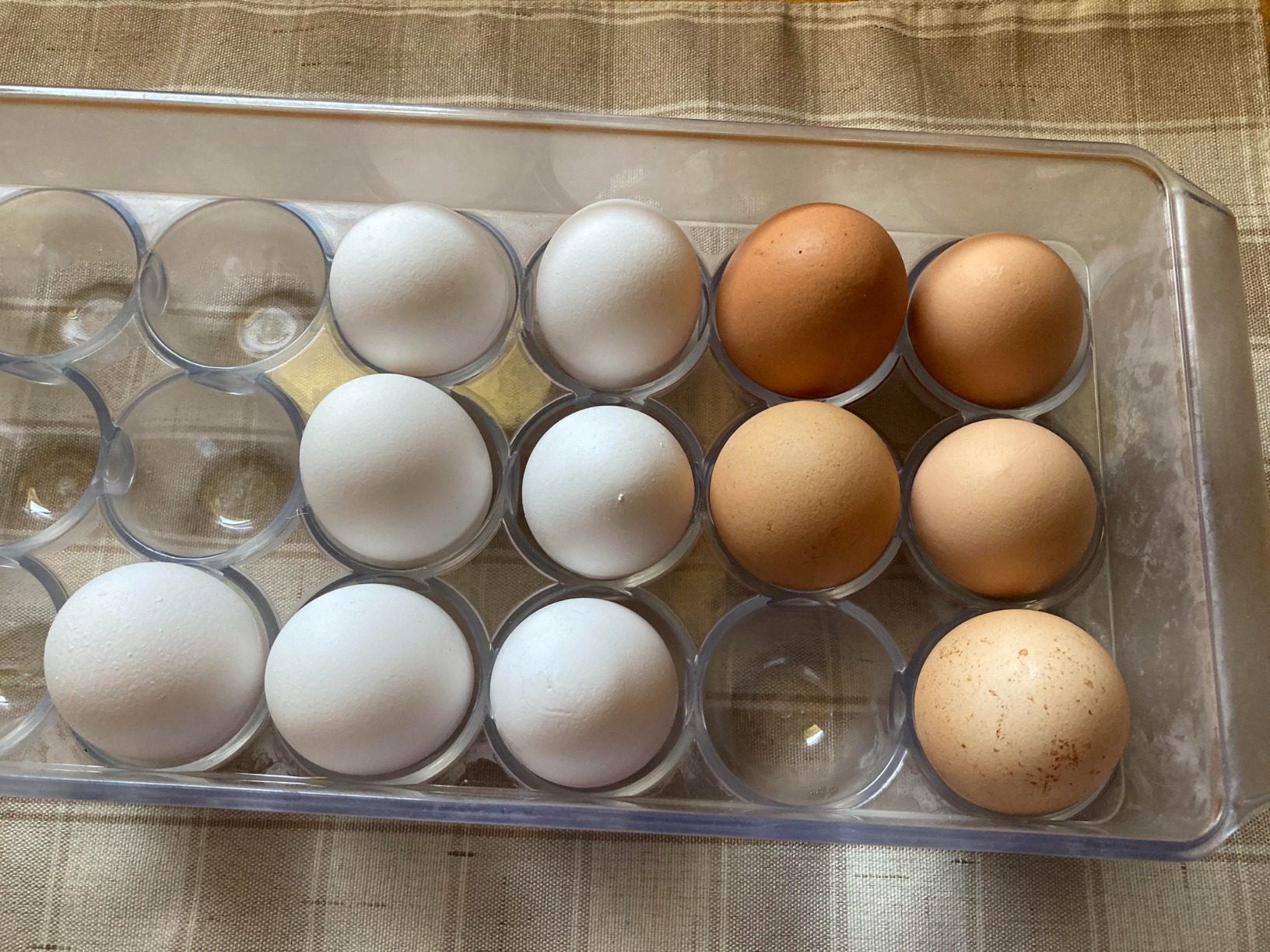 iDesign Plastic Egg Holder with Lid and Handle - Holds 21 Eggs - Clear - Made in USA - Customer Photo 2