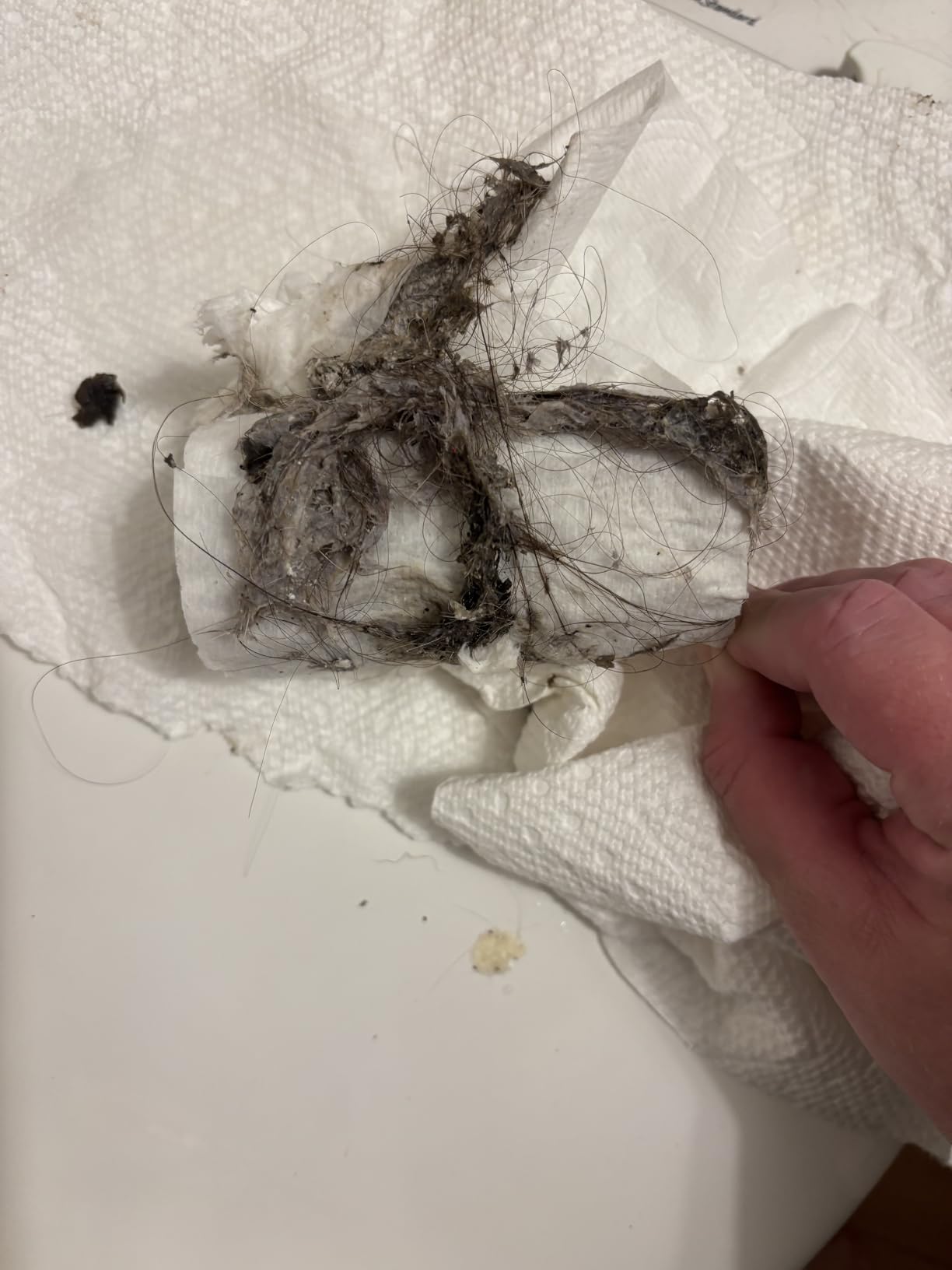 Drain Snake Hair Drain Clog Remover - 3 Pack Shower Snake Sink Unclogger Tool with Exquisite Packaging - Customer Photo 2