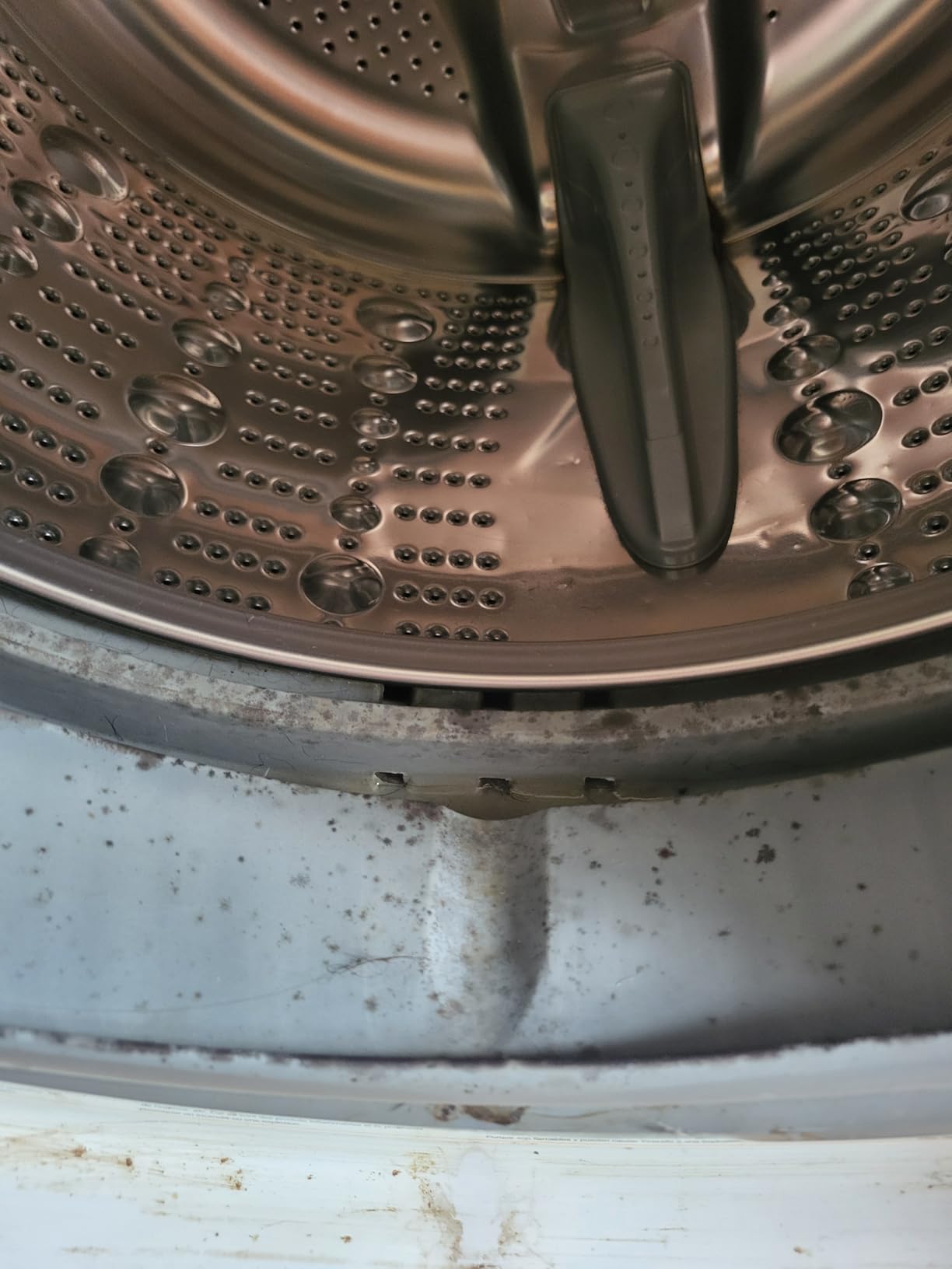 Washing Machine Cleaner Descaler 24 Pack - Deep Cleaning Tablets For HE Front Loader & Top Load Washer, Septic Safe Eco-Friendly Deodorizer, Clean Inside Drum and Laundry Tub Seal - 12 Month Supply - Customer Photo 2