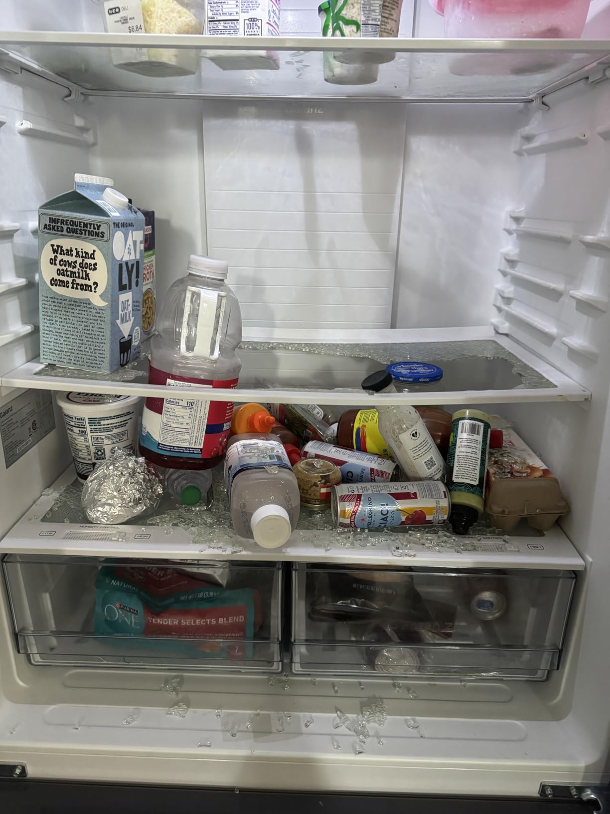 Galanz 3-Door French Door Refrigerator with Bottom Freezer & Adjustable Thermostat, 16 Cu Ft, White Customer Review Galanz 3-Door French Door Refrigerator with Bottom Freezer & Adjustable Thermostat, 16 Cu Ft, White - Customer Photo 2