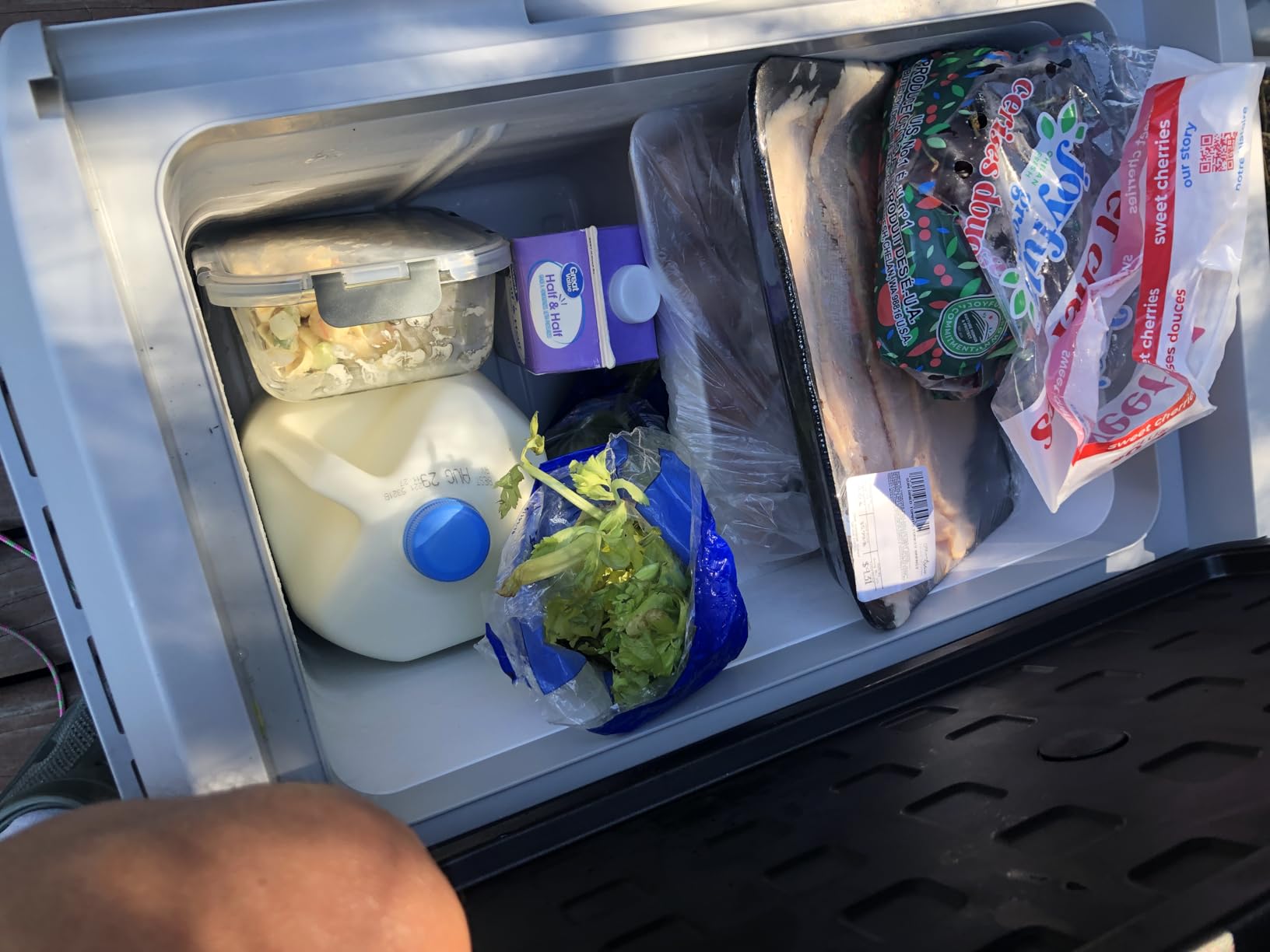 VEVOR 10 Quart 12 Volt Portable Mini Freezer Car Compressor Fridge Cooler - Customer Photo 1