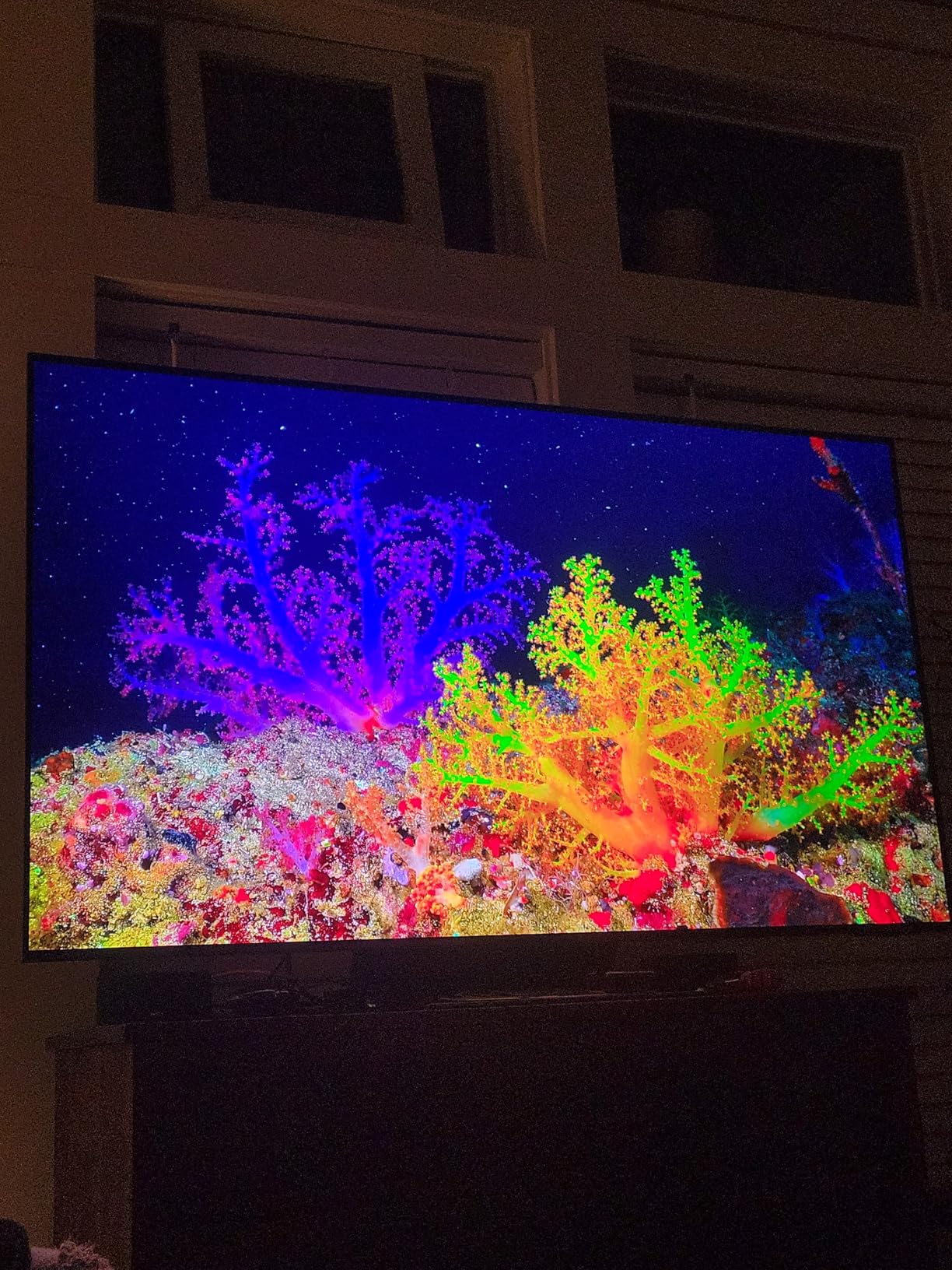 SAMSUNG 77-Inch Class OLED 4K S95C Series Quantum HDR Smart TV w/Dolby Atmos, Object Tracking Sound+, Q Symphony, Motion Xcelerator Turbo Pro, Gaming Hub, Alexa Built-in (QN77S95C, 2023 Model) Customer Review SAMSUNG 77-Inch Class OLED 4K S95C Series Quantum HDR Smart TV w/Dolby Atmos, Object Tracking Sound+, Q Symphony, Motion Xcelerator Turbo Pro, Gaming Hub, Alexa Built-in (QN77S95C, 2023 Model) - Customer Photo 1