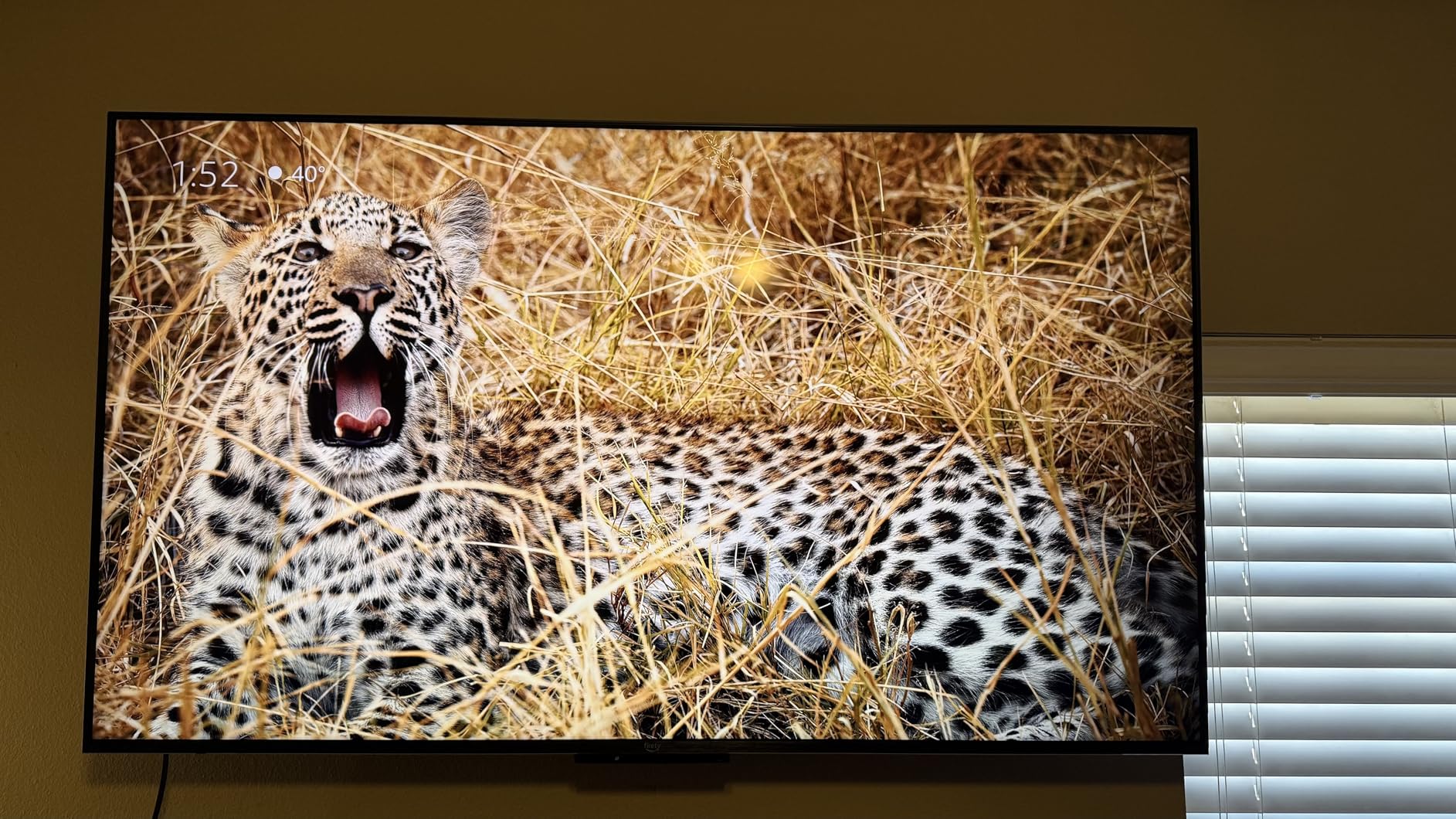 Amazon Fire TV 75
