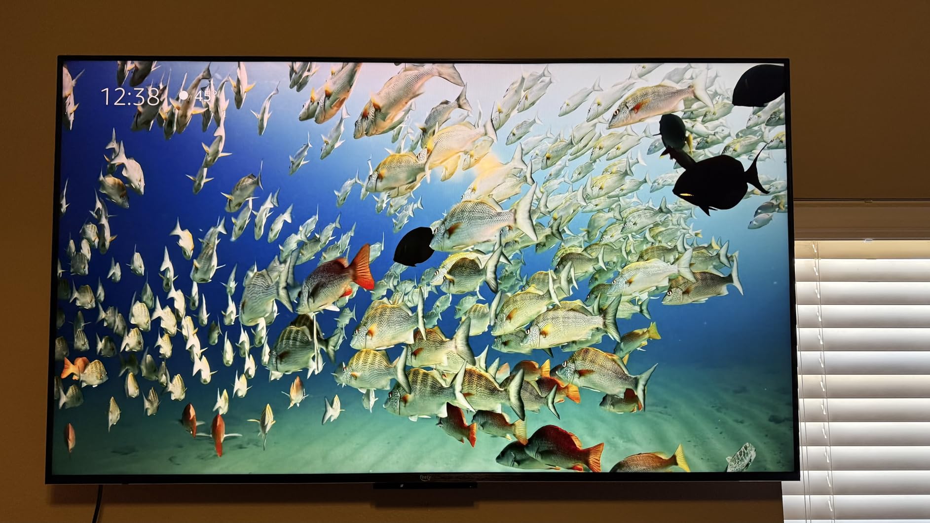 Amazon Fire TV 55 Amazon Fire TV 55