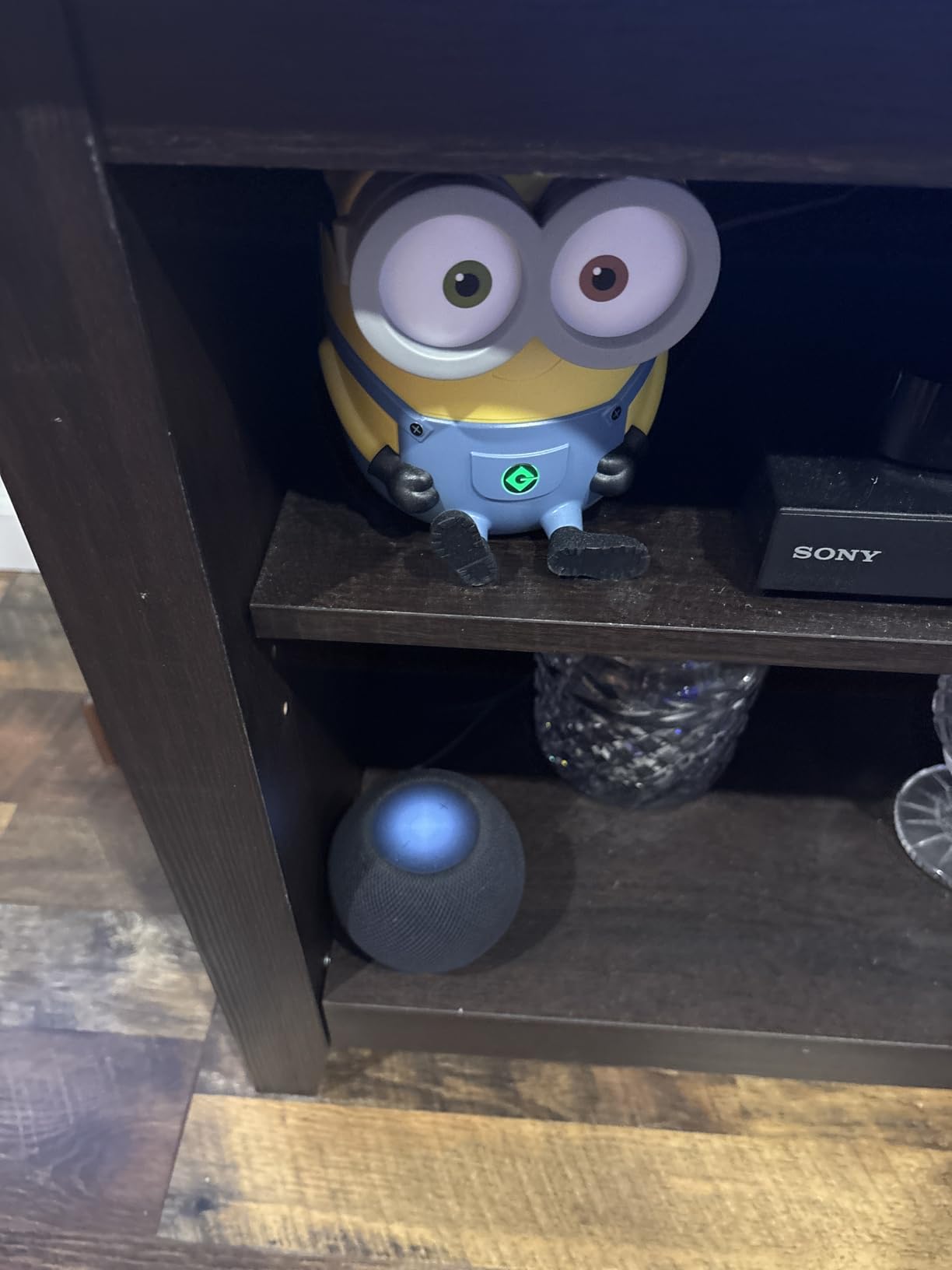 Amazon Fire TV Stick HD (newest model), free and live TV, Alexa Voice Remote, smart home controls, HD streaming - Customer Photo 2