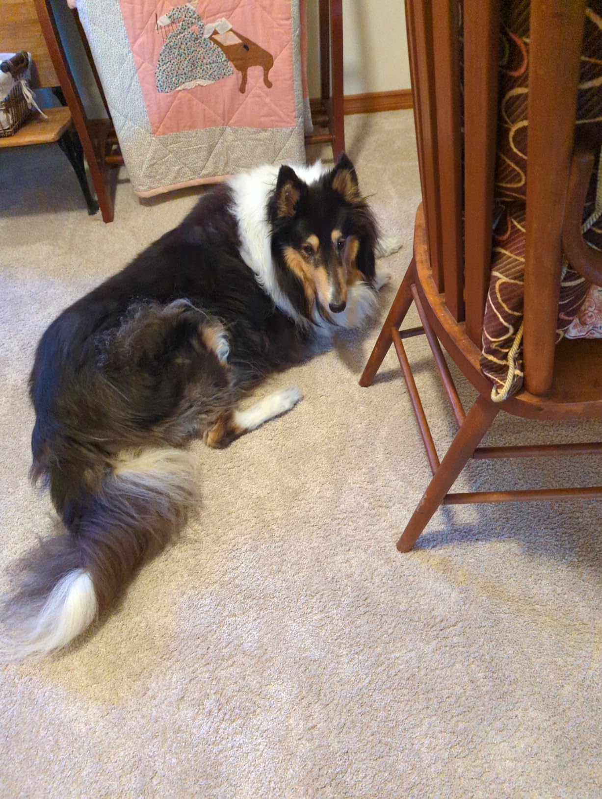 Uproot Clean Washing Machine Cleaner Tablets - 24 Pack for a 12 Month Supply. Formulated for Pet Owners. Compatible with HE, Top & Front Load. Easily Removes Residue, Grime, and Odors. Septic Safe. - Customer Photo 1