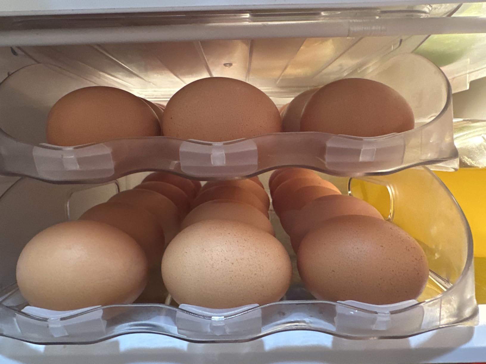 Egg Holder for Fridge, Automatic Steady Rolling Egg Dispenser with Silicone Bumpers & Handle for Refrigerator, Large Capacity Egg Organizer with Lid - Customer Photo 2
