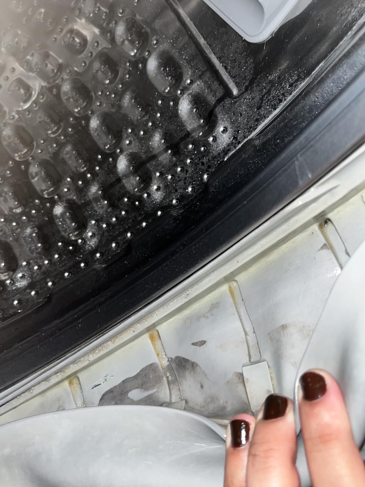 Home Cleaner Gel, Cleaner for Washing Machine, Refrigerator Strips, Household Shower, Kitchen Sinks, Walls, Tiles, Bathrooms- 5 fl oz - Customer Photo 1