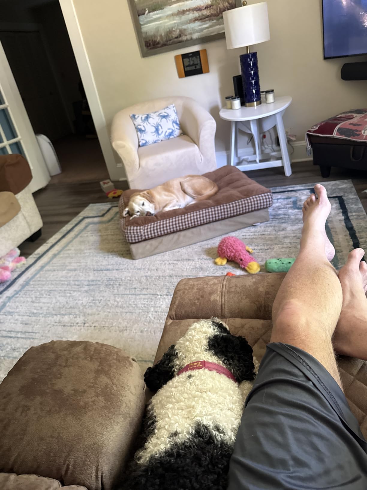 Big Man Power Lay Flat Lift Chair Oversized Recliner Dual Motor Heat Vibration for Elderly, Overstuffed Electric 28