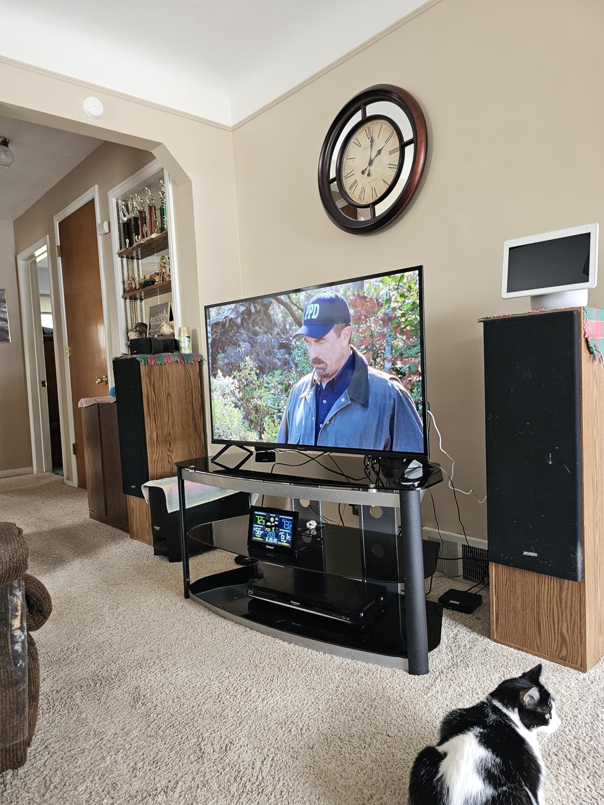 Panasonic W70 Series (2025 Model) 55