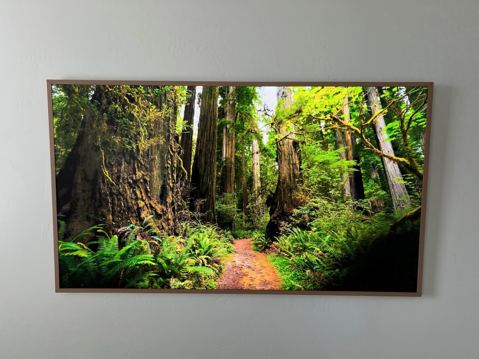 Samsung 75-Inch Class The Frame Pro LS03FW 4K Neo QLED Mini LED Smart TV (2025 Model) Modern Frame Design with Wireless One Connect, NQ4 AI Gen3 Processor, Art Mode, Samsung Vision AI, Alexa Built-in - Customer Photo 1