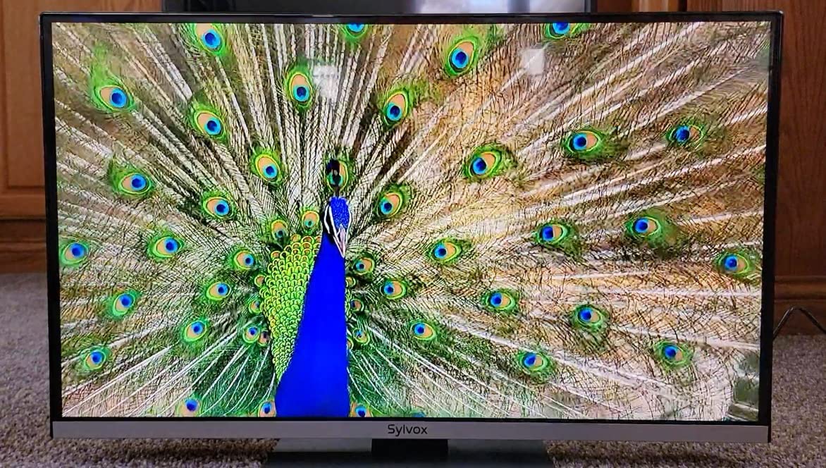 SYLVOX 40-Inch 12V/AC Marine TV, Anti-Corrosion Smart HDTV with Built-in Google TV, 9-32V Surge Protection, WiFi & Bluetooth, HDMI/USB Ports, Perfect for Boats, Yachts, RVs - Customer Photo 1