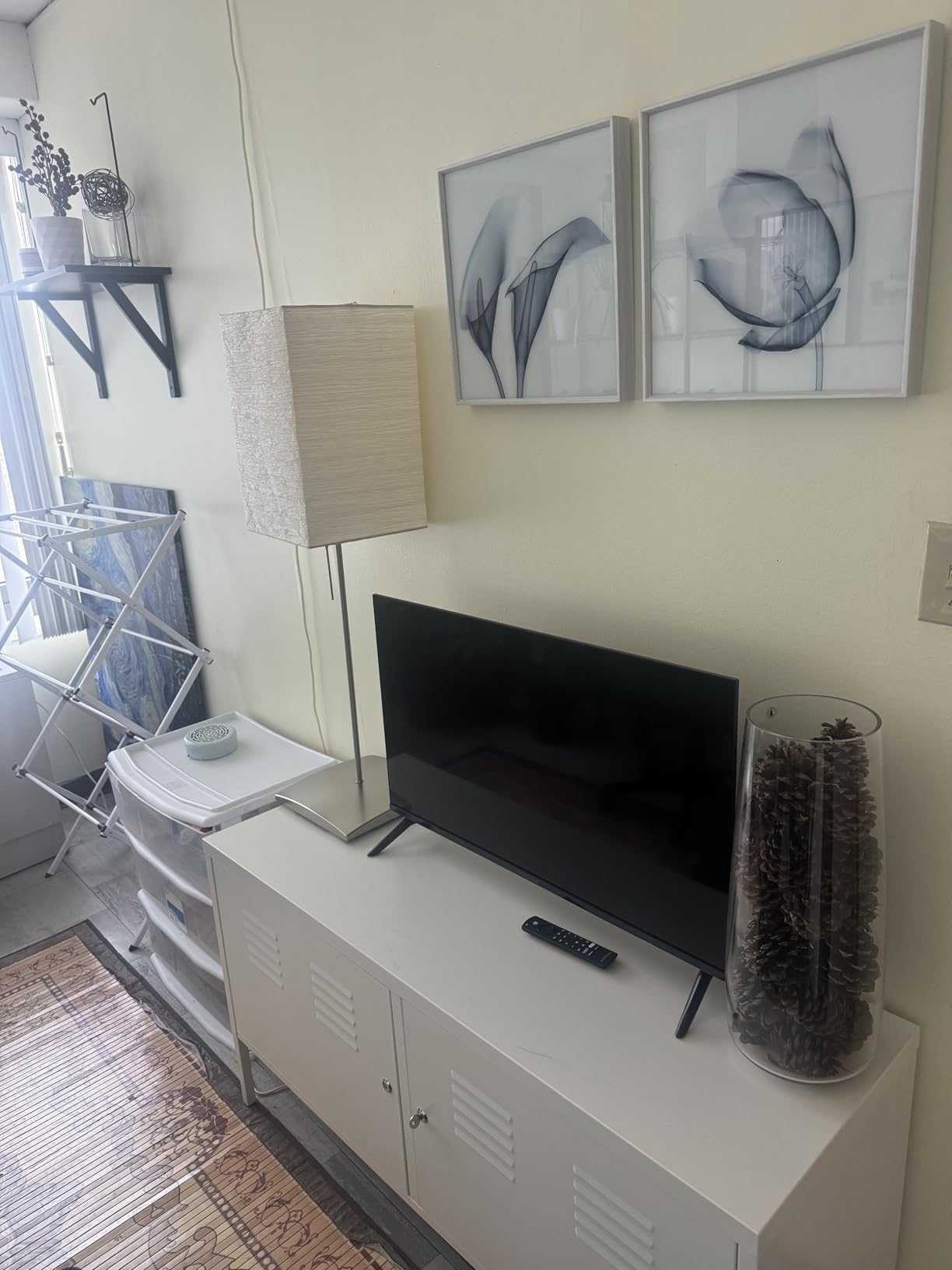 INSIGNIA 24 INSIGNIA 24