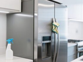 Best Stainless Refrigerator Cleaner