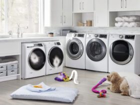 Best Washer And Dryer For Dog Hair
