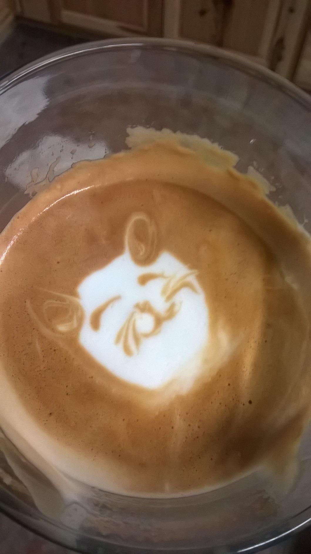 Breville Barista Express Espresso Machine BES870XL, Brushed Stainless Steel - Customer Photo 5