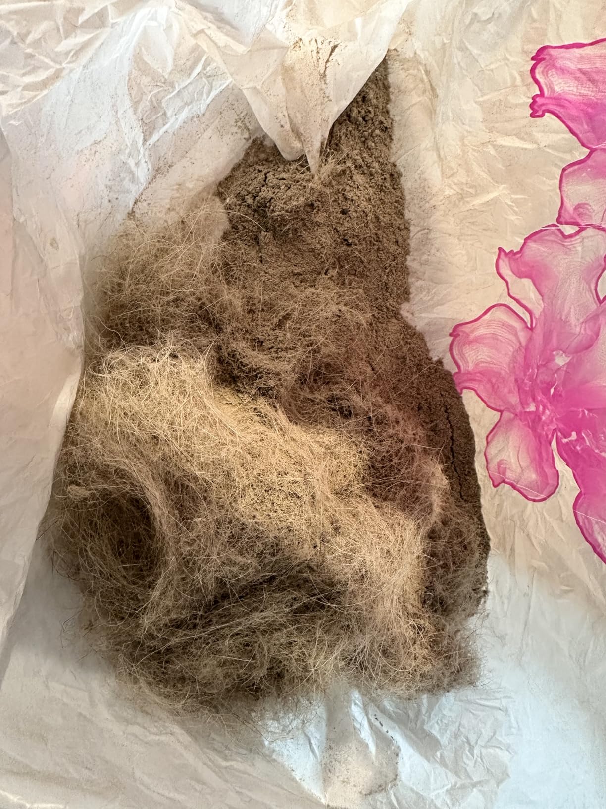 Shark NV752 Rotator Powered Lift-Away TruePet Upright Vacuum with HEPA Filter, Large Dust Cup Capacity, LED Headlights, Upholstery Tool, Perfect Pet Power Brush & Crevice Tool, Bordeaux - Customer Photo 1