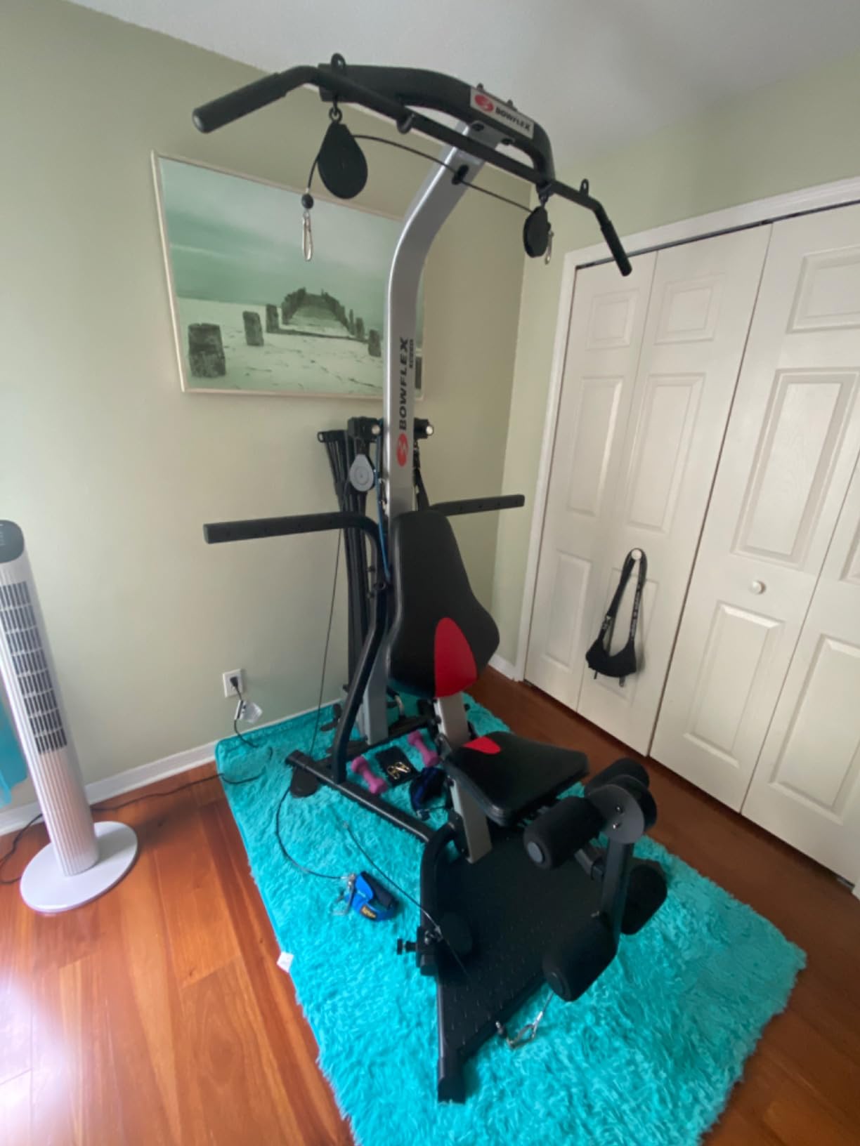 BowFlex Home Gym Workout Systems (PR1000) - Customer Photo 4