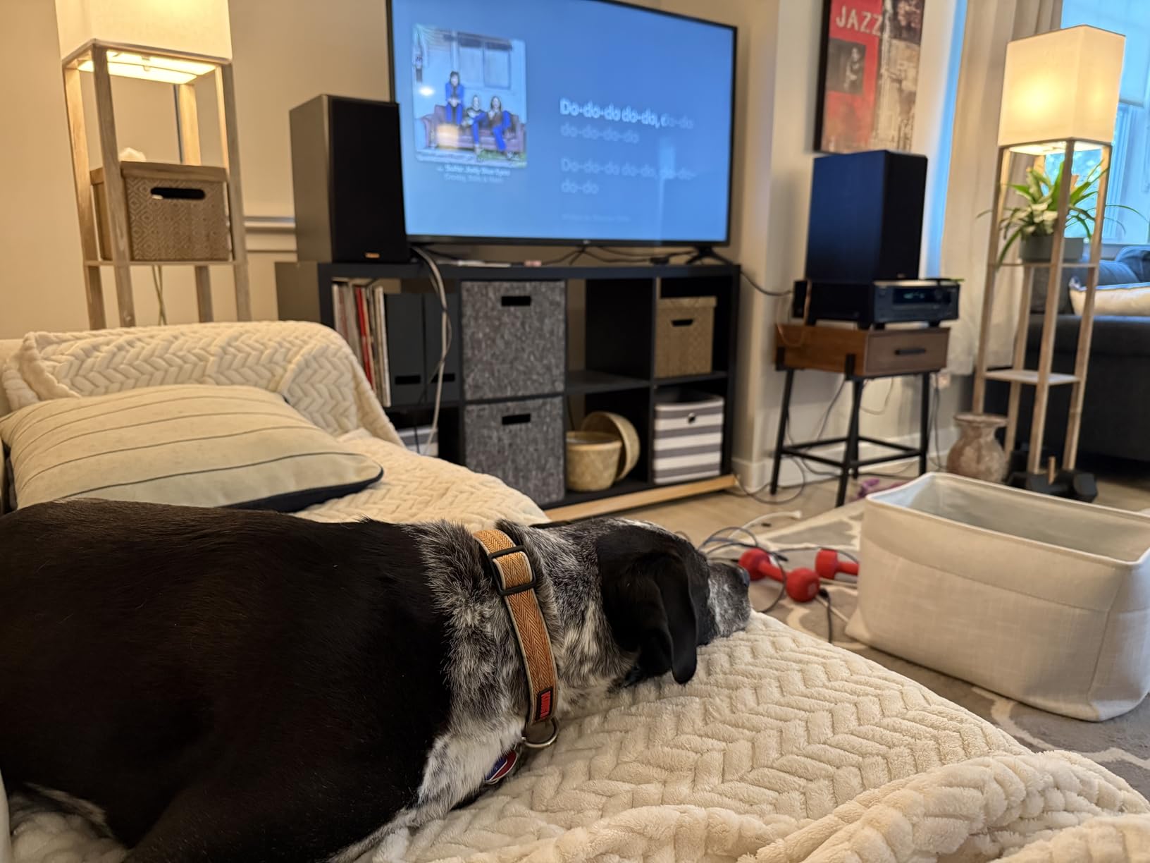 Klipsch RP-600M Reference Premiere Bookshelf Speakers - Pair (Ebony) Customer Review Klipsch RP-600M Reference Premiere Bookshelf Speakers - Pair (Ebony) - Customer Photo 1