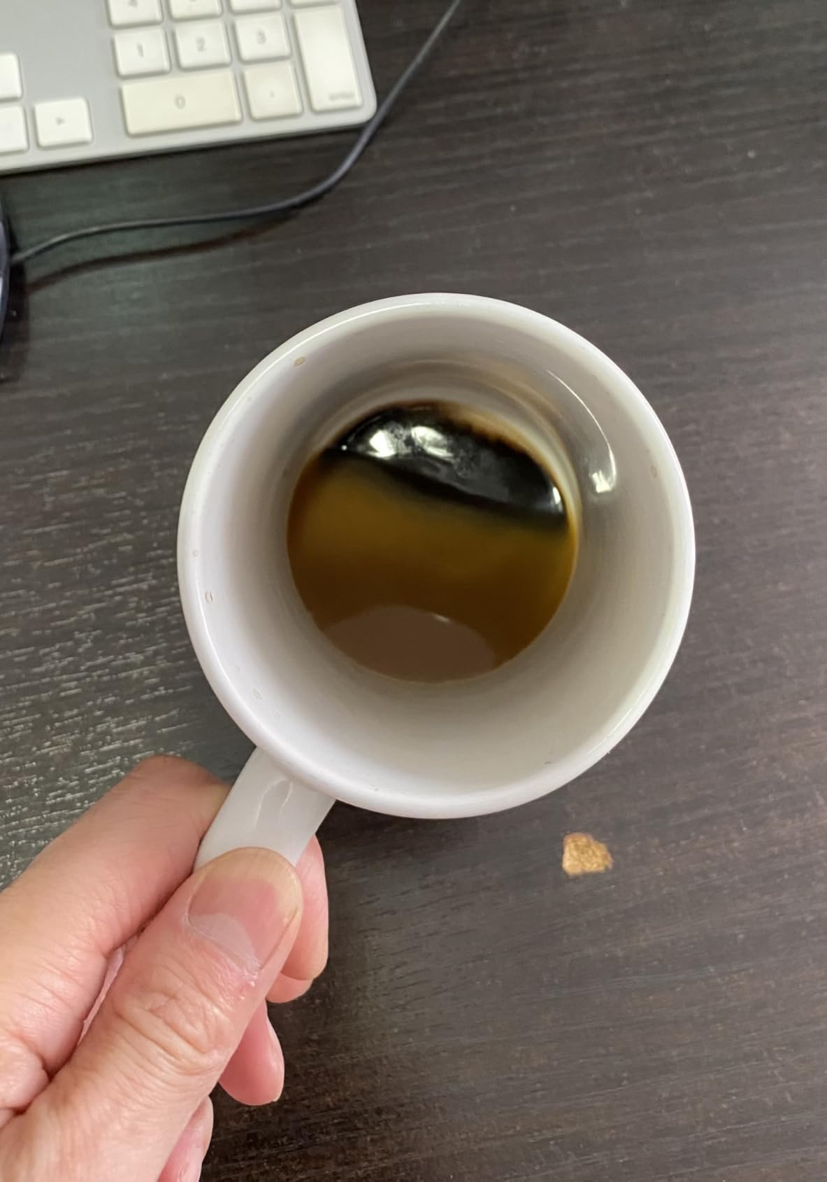 Ninja 12-Cup Programmable Coffee Brewer, 2 Brew Styles, Adjustable Warm Plate, 60oz Water Reservoir, Delay Brew - Black/Stainless Steel Customer Review Ninja 12-Cup Programmable Coffee Brewer, 2 Brew Styles, Adjustable Warm Plate, 60oz Water Reservoir, Delay Brew - Black/Stainless Steel - Customer Photo 5