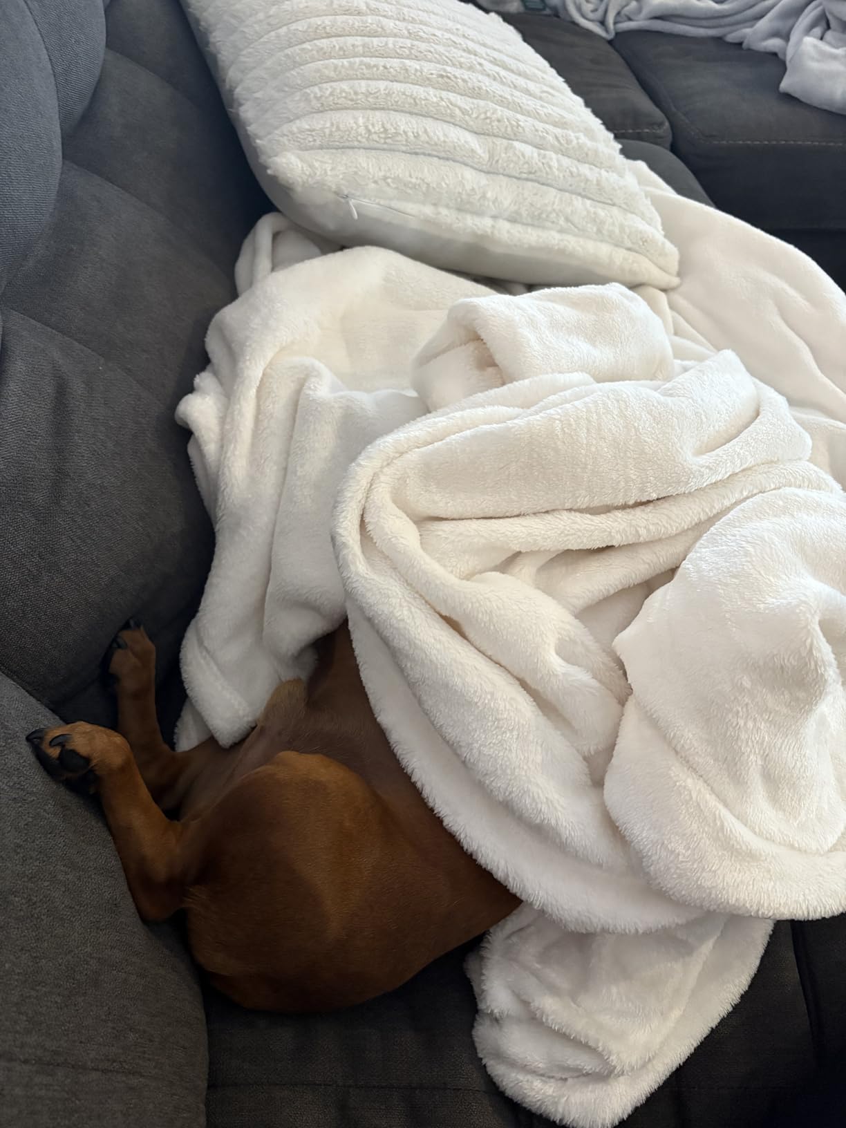 Bedsure GentleSoft Fleece Throw Blanket for Couch Black - Lightweight Plush Fuzzy Cozy Soft Halloween Blankets and Throws for Sofa, 50x60 inches - Customer Photo 3