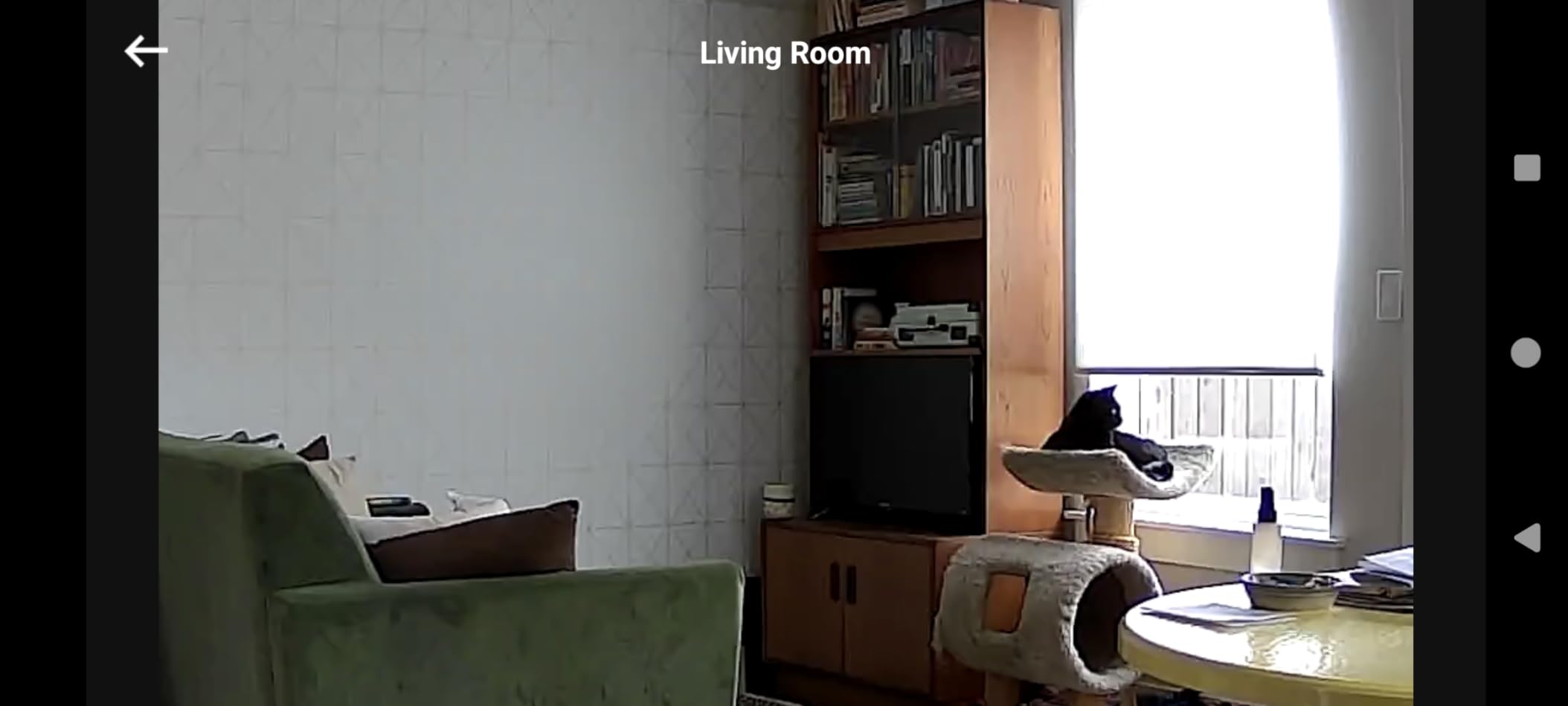 eufy Security Indoor Cam E220, Camera for home Security, Pan & Tilt, Dog/Pet Camera, 2K Wi-Fi Plug-in, Motion Tracking, Motion Only Alerts, Night Vision, HomeBase 3 Compatible, Voice Assistant Support - Customer Photo 2