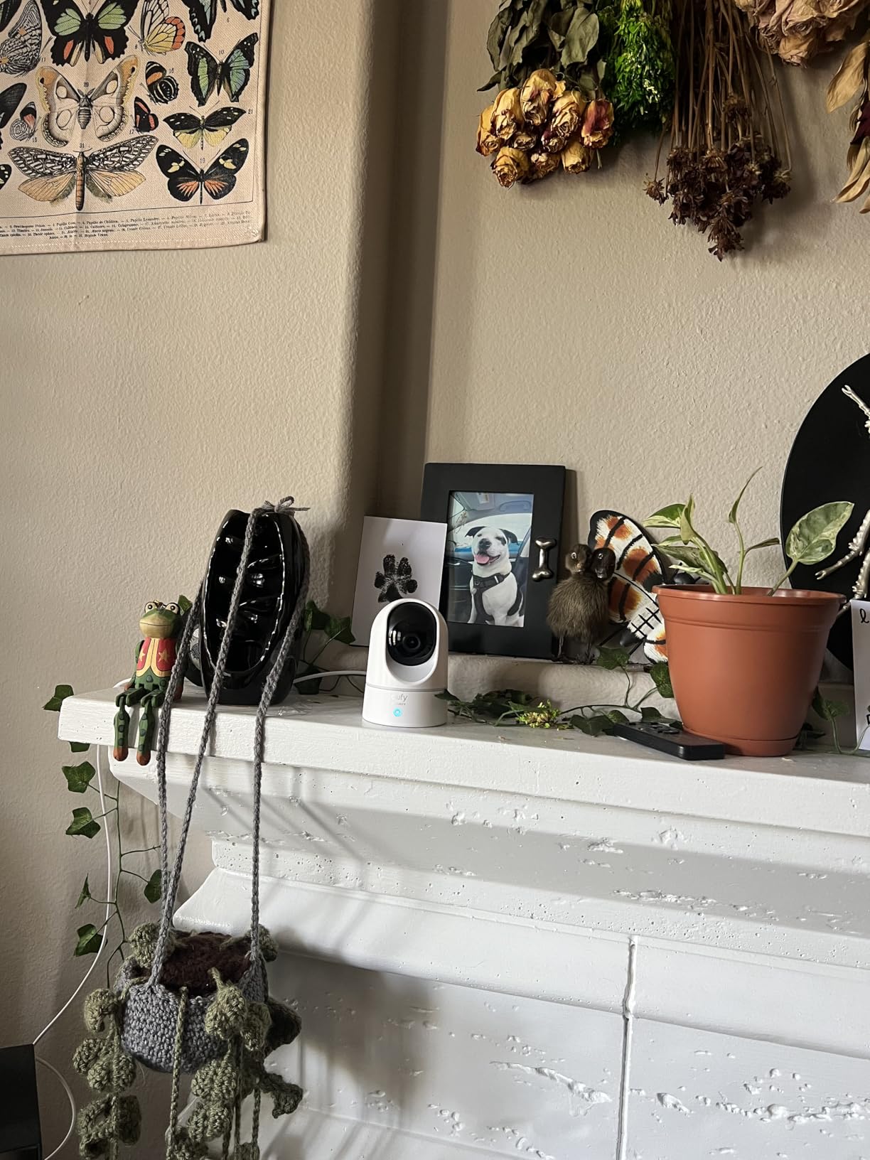 eufy Security Indoor Cam E220, Camera for home Security, Pan & Tilt, Dog/Pet Camera, 2K Wi-Fi Plug-in, Motion Tracking, Motion Only Alerts, Night Vision, HomeBase 3 Compatible, Voice Assistant Support - Customer Photo 5