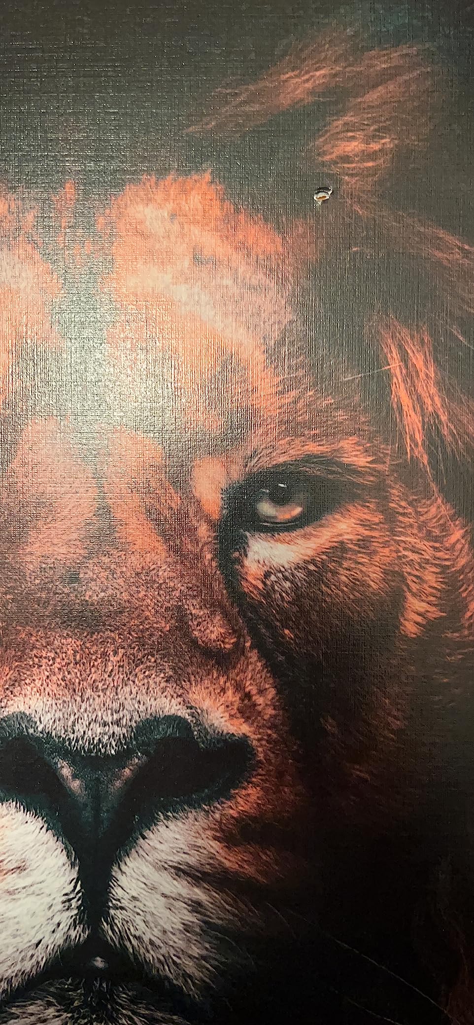 HAUS AND HUES Money Wall Art - Framed Wall Art Motivational, Masculine Art Wall Decor, Success Wall Art, Inspirational Wall Art For Office, Hundred Dollar Bill Wall Art (16x20, Beige Framed) - Customer Photo 2