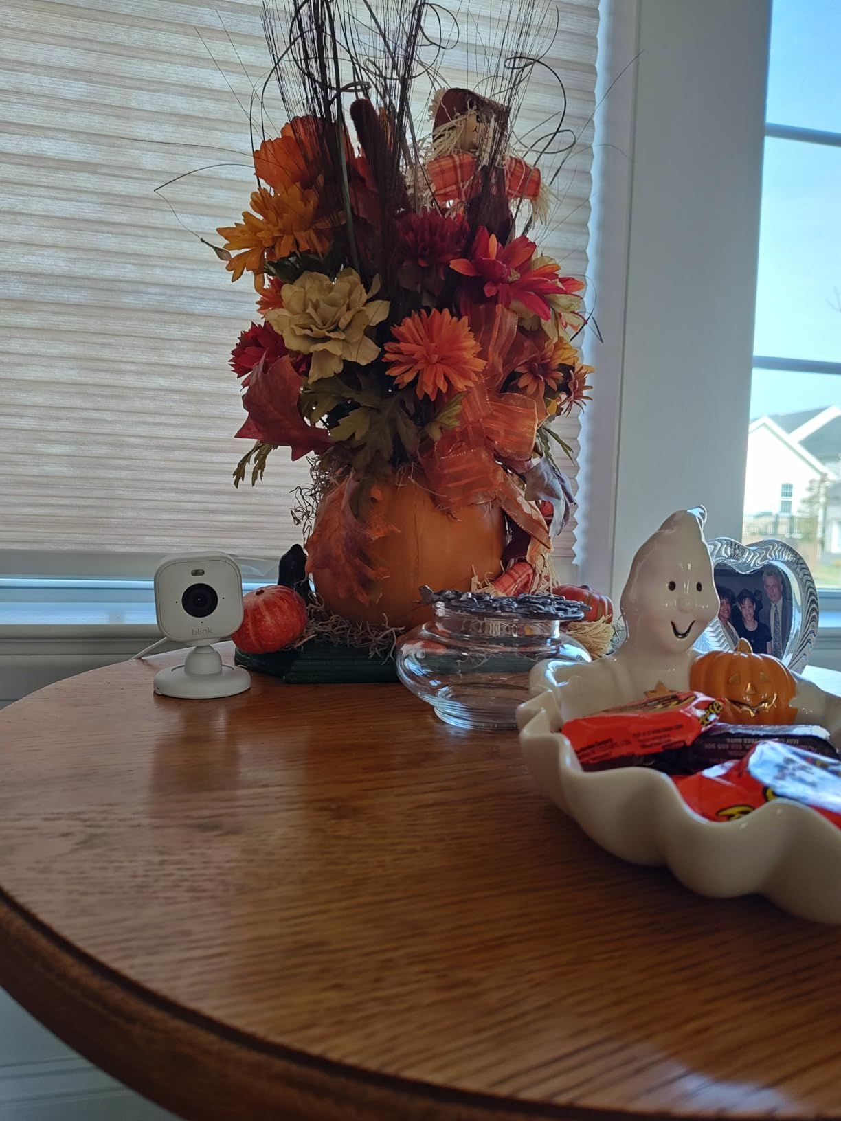 Blink Mini 2 — Home Security & Pet Cameras with HD video, color night view, motion detection, two-way audio, and built-in spotlight — 2 cameras (White) - Customer Photo 4