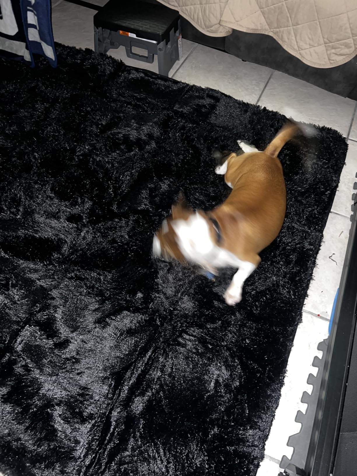 Super Soft Area Rugs for Living Room 5x7 Black, Fluffy Furry Shaggy Fuzzy Area Rug, Upgrade Anti-Skid Rectangular, High Pile Soft Throw Rug for Bedroom and Kids Room, Home Decor Aesthetic - Customer Photo 1