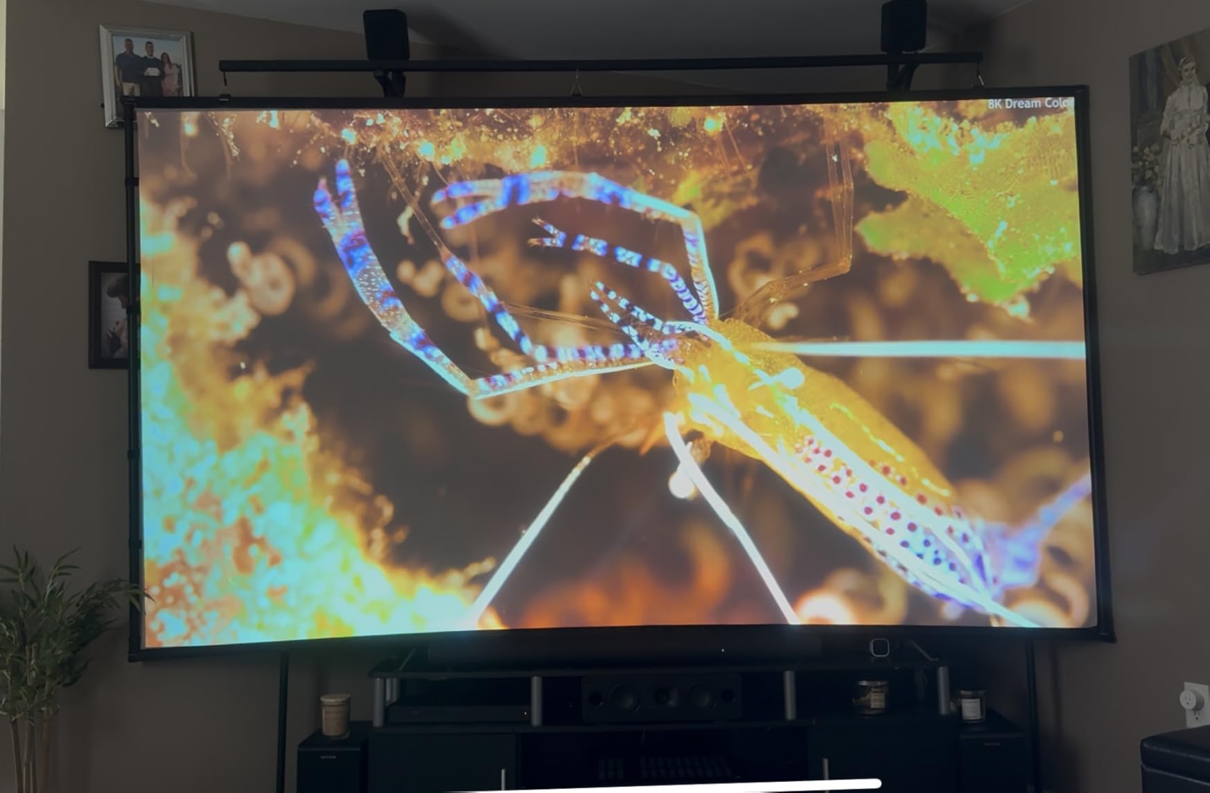 3-in-1 Projector 4K Supported, AURZEN BOOM 3 Smart Projector with WiFi and Bluetooth, 3D DoIby Audio & 36W Speakers, Auto Focus & Keystone, Netflix Official 500 ANSI Home Outdoor proyector, Black - Customer Photo 3