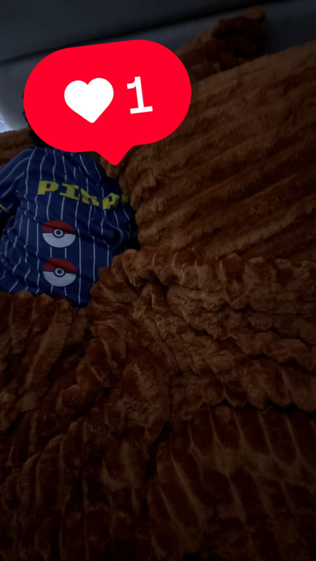 EXQ Home Fluffy Comforter Set Queen Size - Super Soft Faux Fur Stripe Jacquard Comforter 3 Pieces, Black Fleece Bedding Set,Winter Warm Bed Set,1 Comforter with 2 Pillowcases - Customer Photo 2