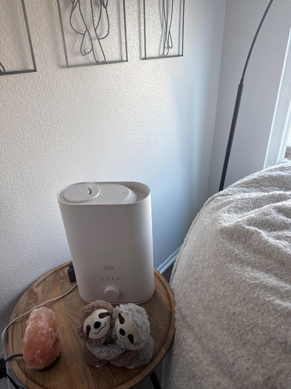 Everlasting Comfort 6L Humidifier Large Room, High Mist Output 50+ HR Runtime Ultrasonic Top Fill Humidifiers for Bedroom, Easy to Use & Clean for Home, Baby Humidifier, Plants, Congestion, Indoor - Customer Photo 1