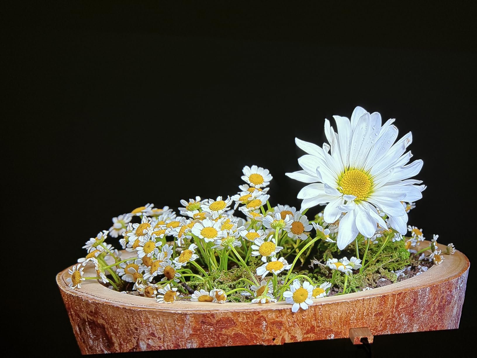 [1000 ANSI/Auto Focus] 4K Home Theater Projector with WiFi 6 and Bluetooth 5.2, HAPPRUN 300'' Movie Projector for Indoor/Outdoor, Smart Proyector Compatible with Phone/TV Stick/PC/PS5 - Customer Photo 1