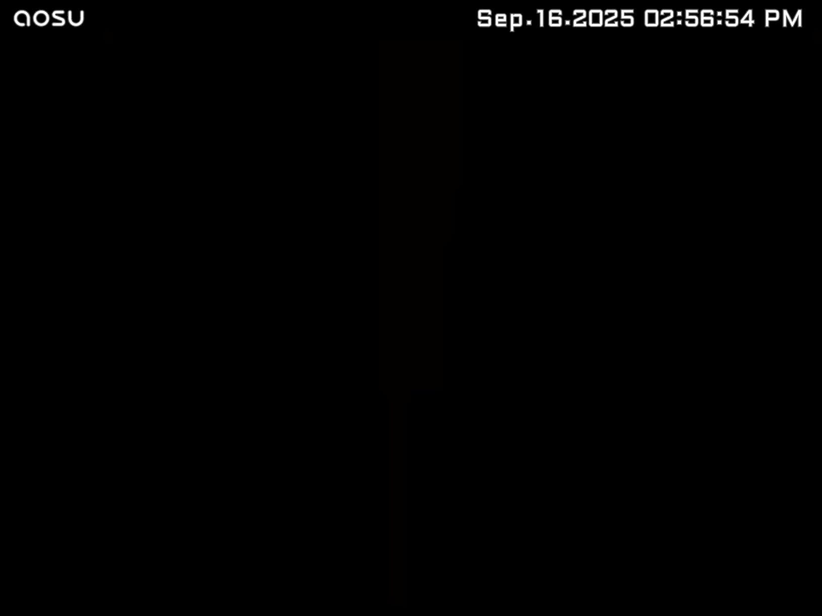 Blink Outdoor 4 – Wireless smart security camera, two-year battery life, 1080p HD day and infrared night live view, two-way talk. Sync Module Core included – 3 camera system - Customer Photo 1