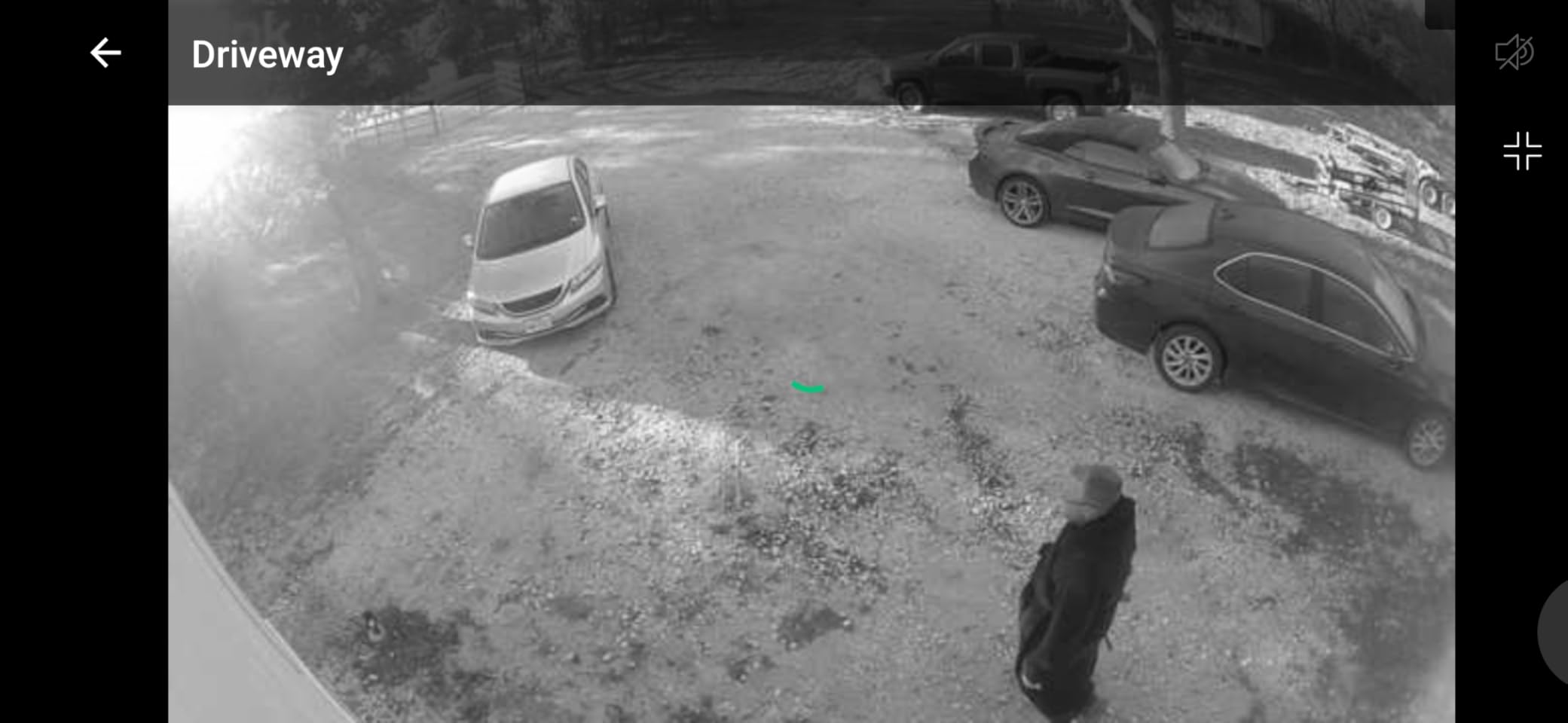 Blink Outdoor 4 Floodlight Camera — Wireless smart security camera, 700 lumens, two-year battery life, enhanced motion detection, Sync Module Core included — 1 camera system - Customer Photo 3