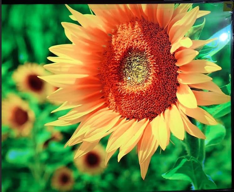 Hisense 75 Hisense 75