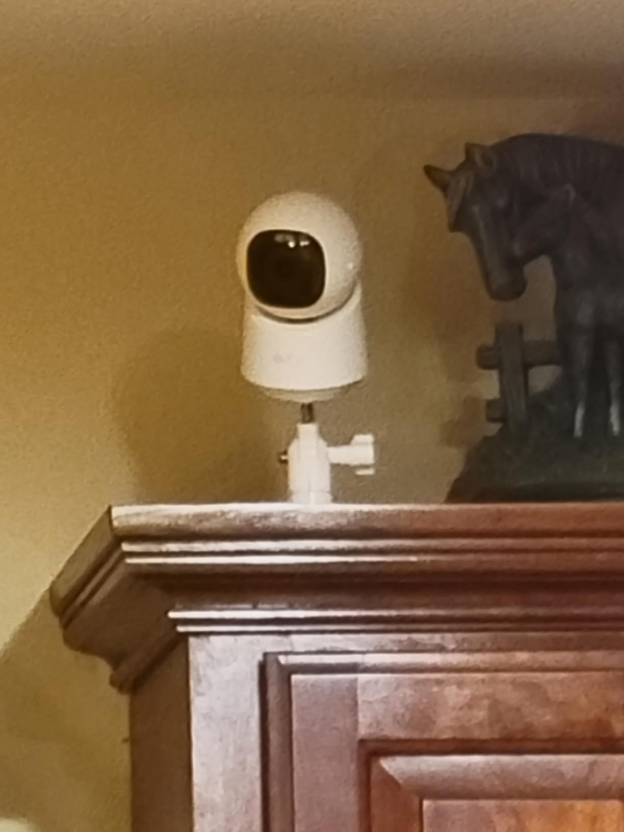 eufy Indoor Cam E30 2-Cam Kit, Latest Generation, 4K UHD Security Camera, Pet/Dog/Baby Camera with Phone app, Color Night Vision, Human/Pet Auto Tracking, 360 Pan-Tilt, Works with Homekit,White - Customer Photo 1