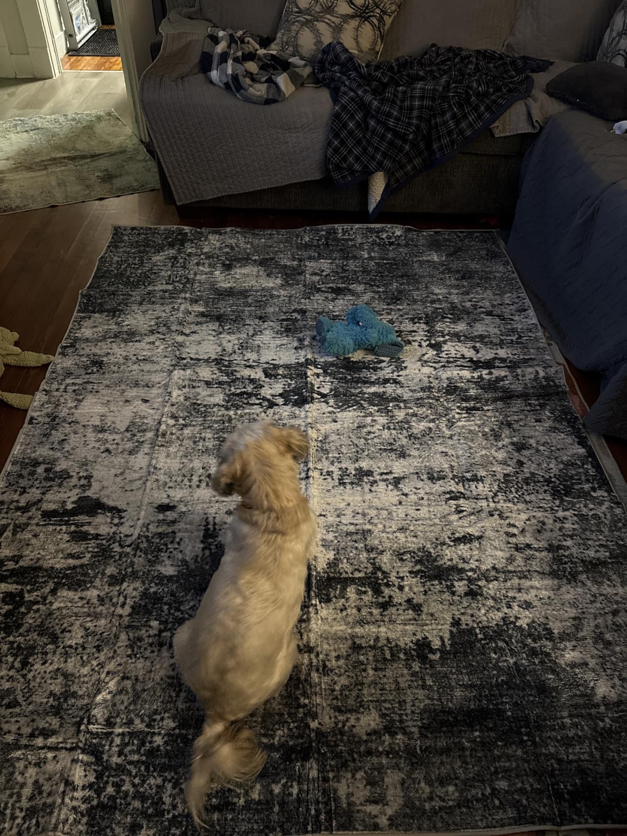 8x10 Area Rug Living Room Rug: Washable Modern Abstract Soft Thin Rug Indoor Floor No Slip Stain Resistant Carpet for Bedroom Dining Room Farmhouse Nursery Home Office - Black - Customer Photo 1