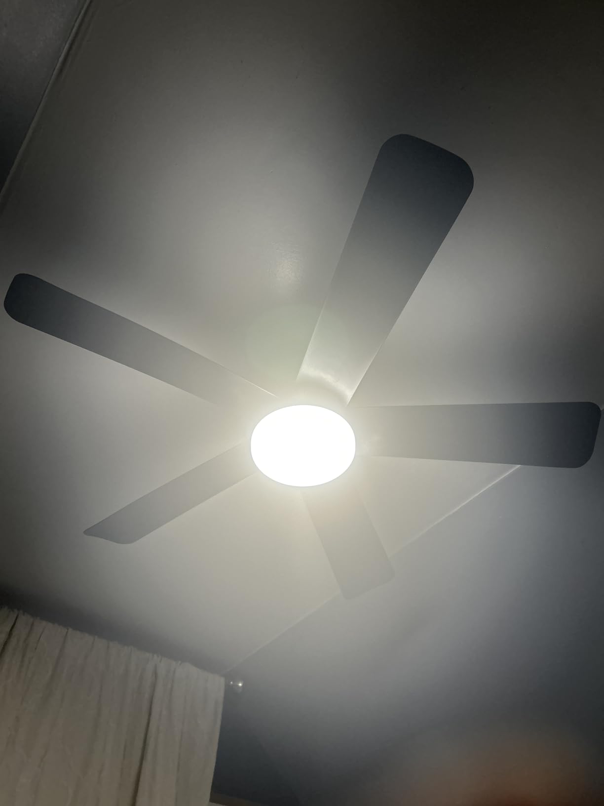 Depuley Modern Ceiling Fan with Light: 42-Inch Black Small Fans for Bedroom Indoor Outdoor - Dimmable Low Profile Ceiling Fans with Remote Control Flush Mount 5 Reversible Black Blades 6 Speeds Timer - Customer Photo 1