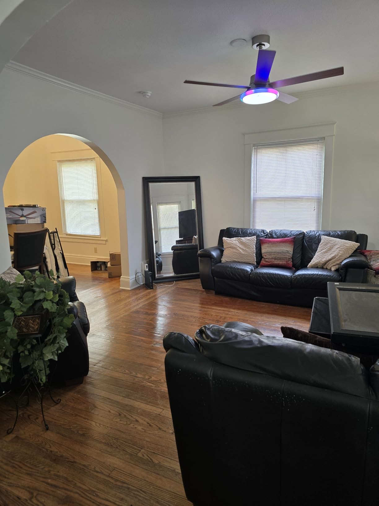 Lumary 52'' Smart Ceiling Fan with RGBAI Lights Remote, WiFi Bluetooth Low Profile Ceiling Fan with Alexa Google App, Dimmable & Color Tuning, 46 Scene, Modern Flush Mount for Bedroom Living Room - Customer Photo 1