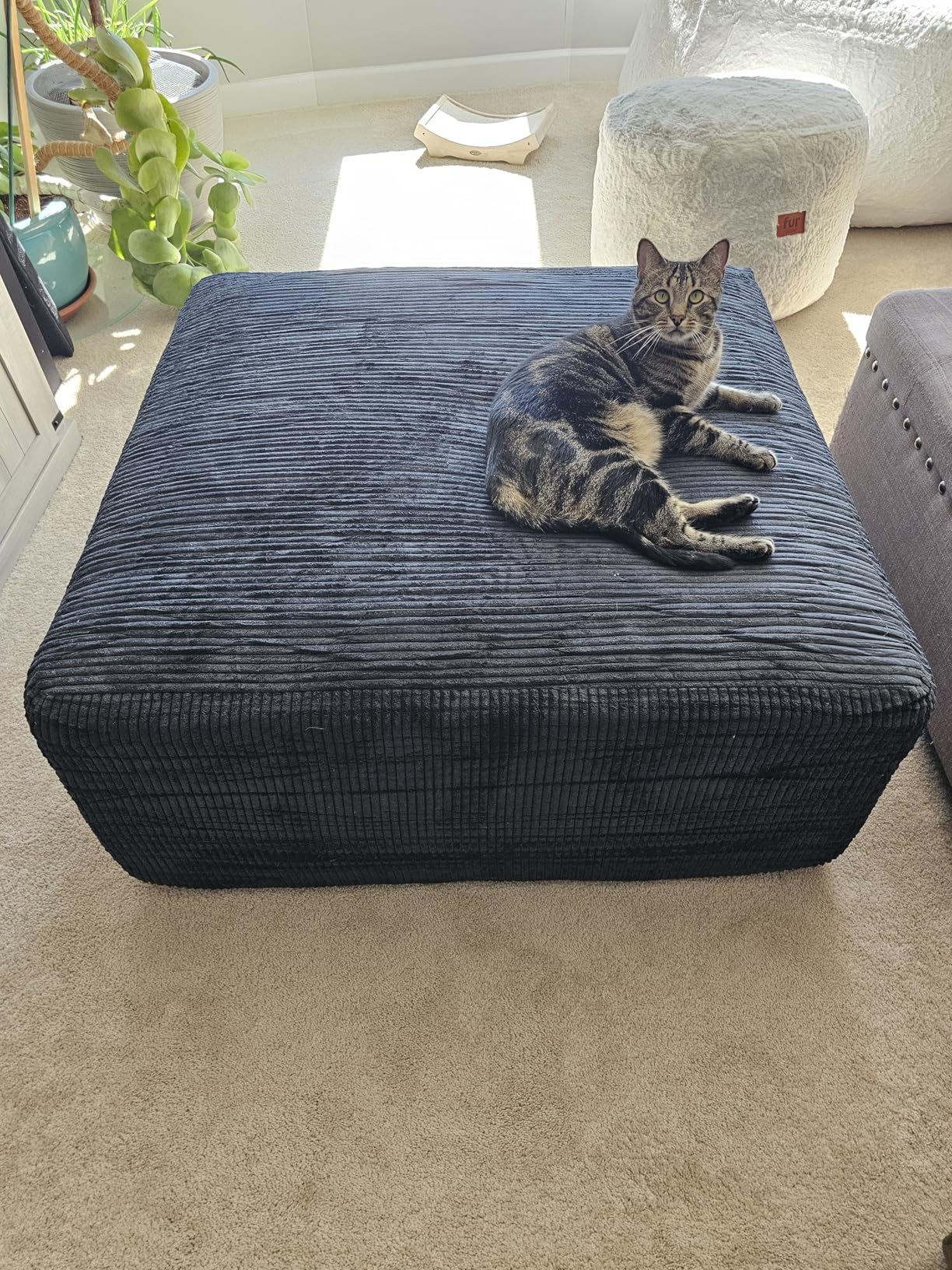 Boneless Sectional Cloud Couch Sofa for Living Room, 112 Boneless Sectional Cloud Couch Sofa for Living Room, 112