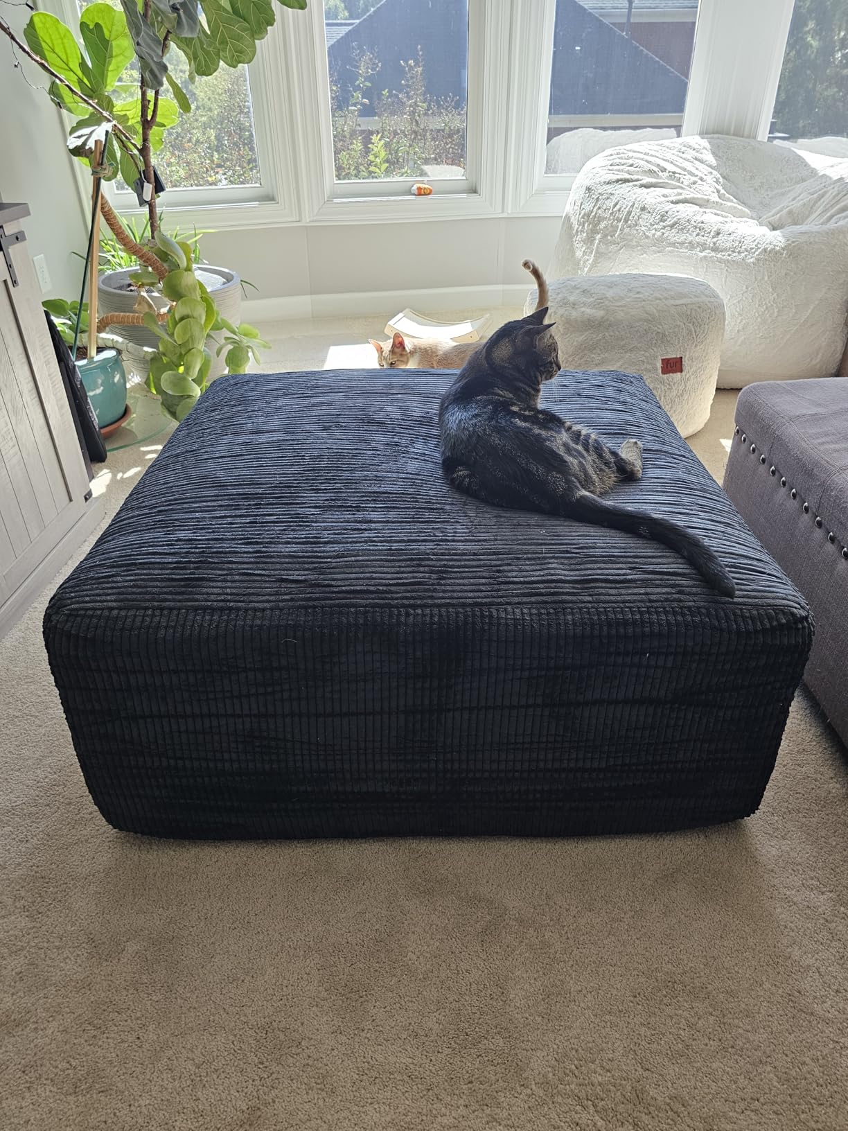 Boneless Sectional Cloud Couch Sofa for Living Room, 112 Boneless Sectional Cloud Couch Sofa for Living Room, 112