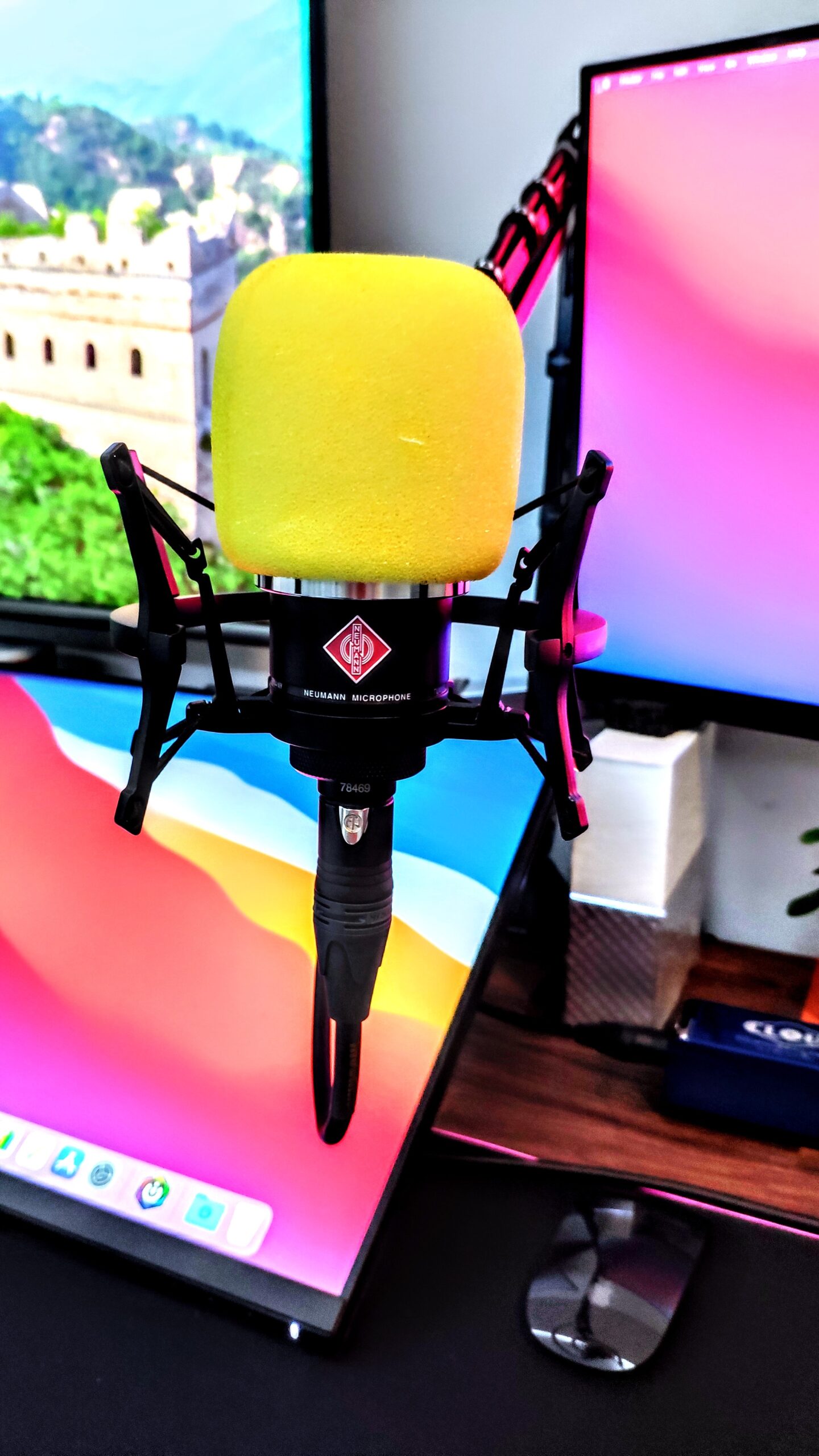 Neumann TLM 102 Black Cardioid Condenser Microphone Studio Set w/ Shock Mount MT - Customer Photo 1