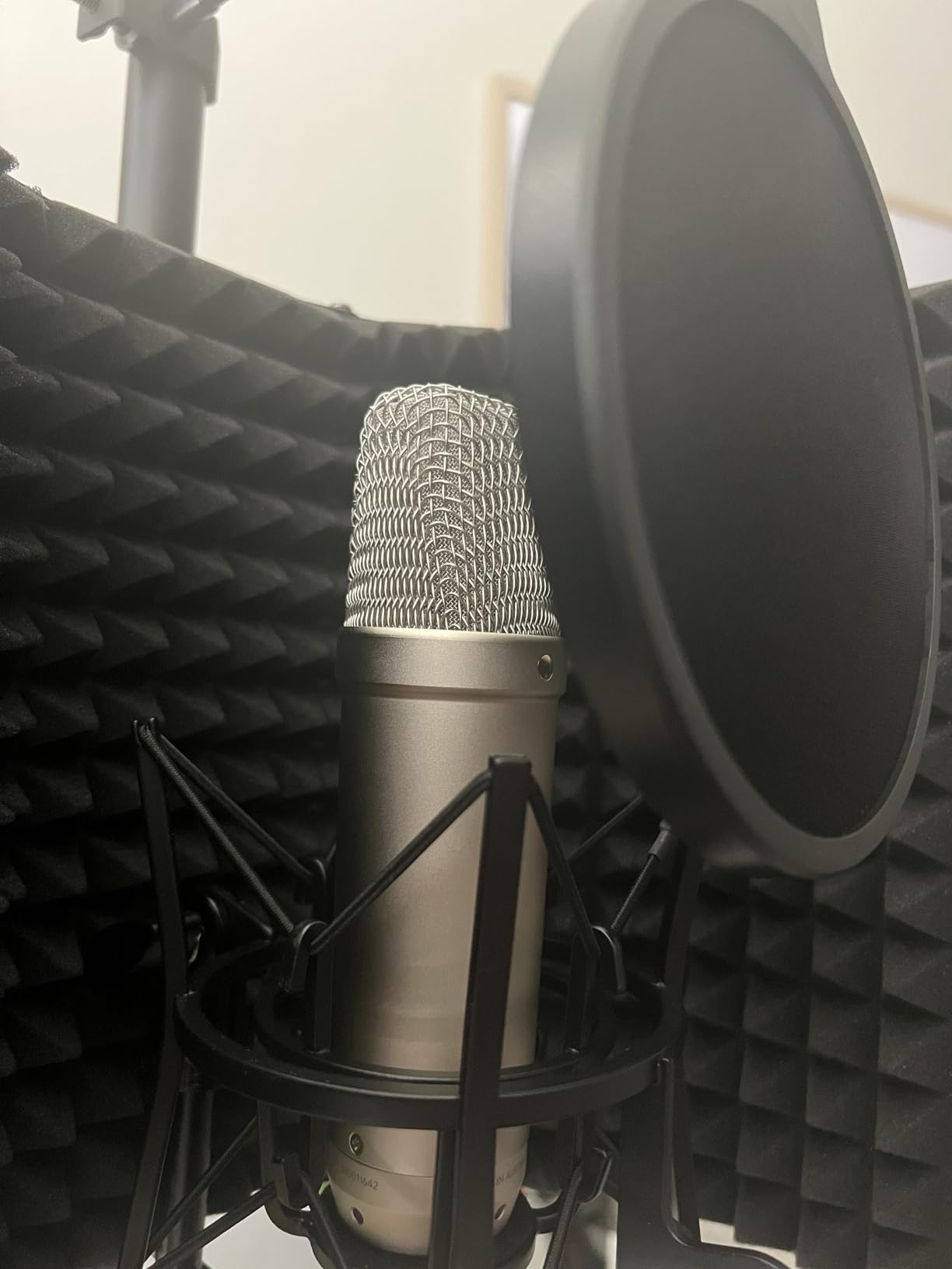 RØDE NT1 5th Gen Large-Diaphragm Studio Condenser Microphone - XLR & USB Outputs - Shock Mount & Pop Filter Included - Music Production, Vocal Recording, Podcasting - Black - Professional Audio - Customer Photo 2