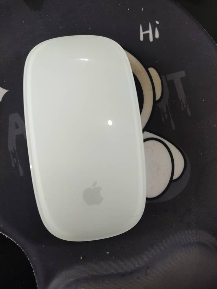 Apple Magic Mouse - White Multi-Touch Surface ​​​​​​​ - Customer Photo 1