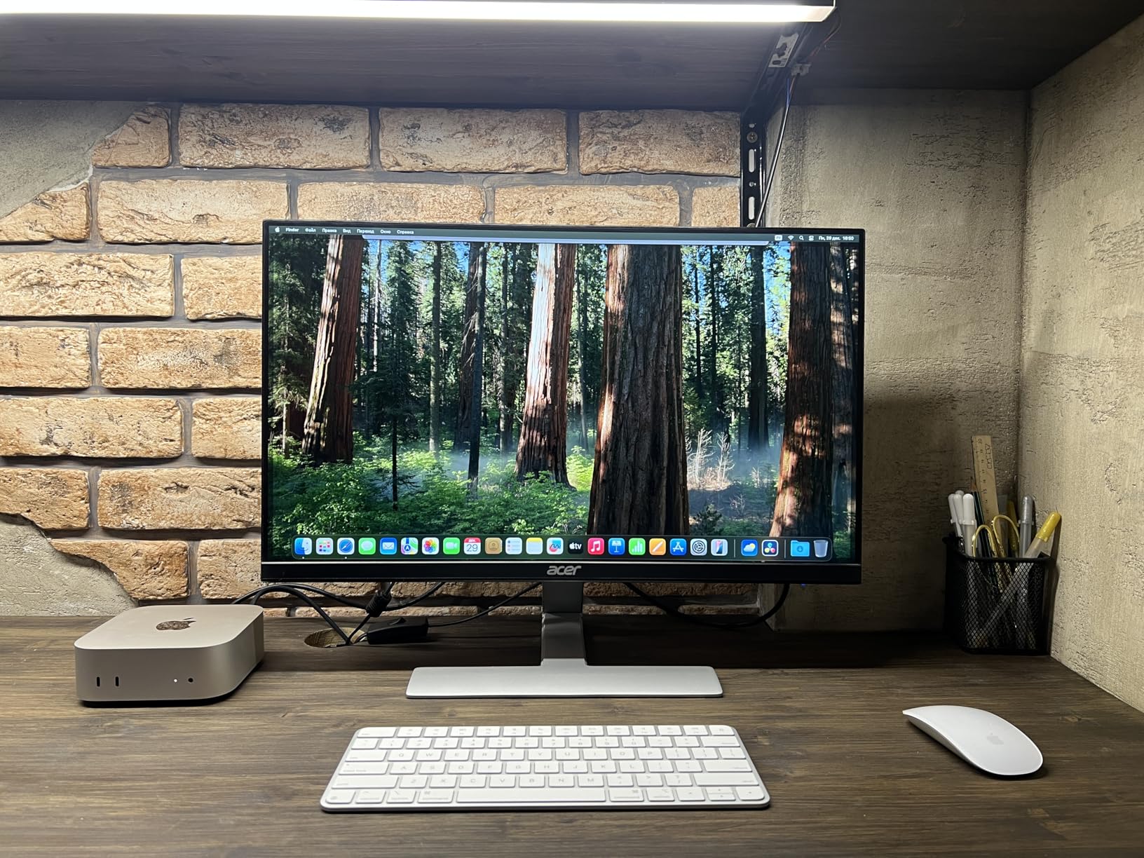 Apple Magic Mouse - White Multi-Touch Surface ​​​​​​​ - Customer Photo 2