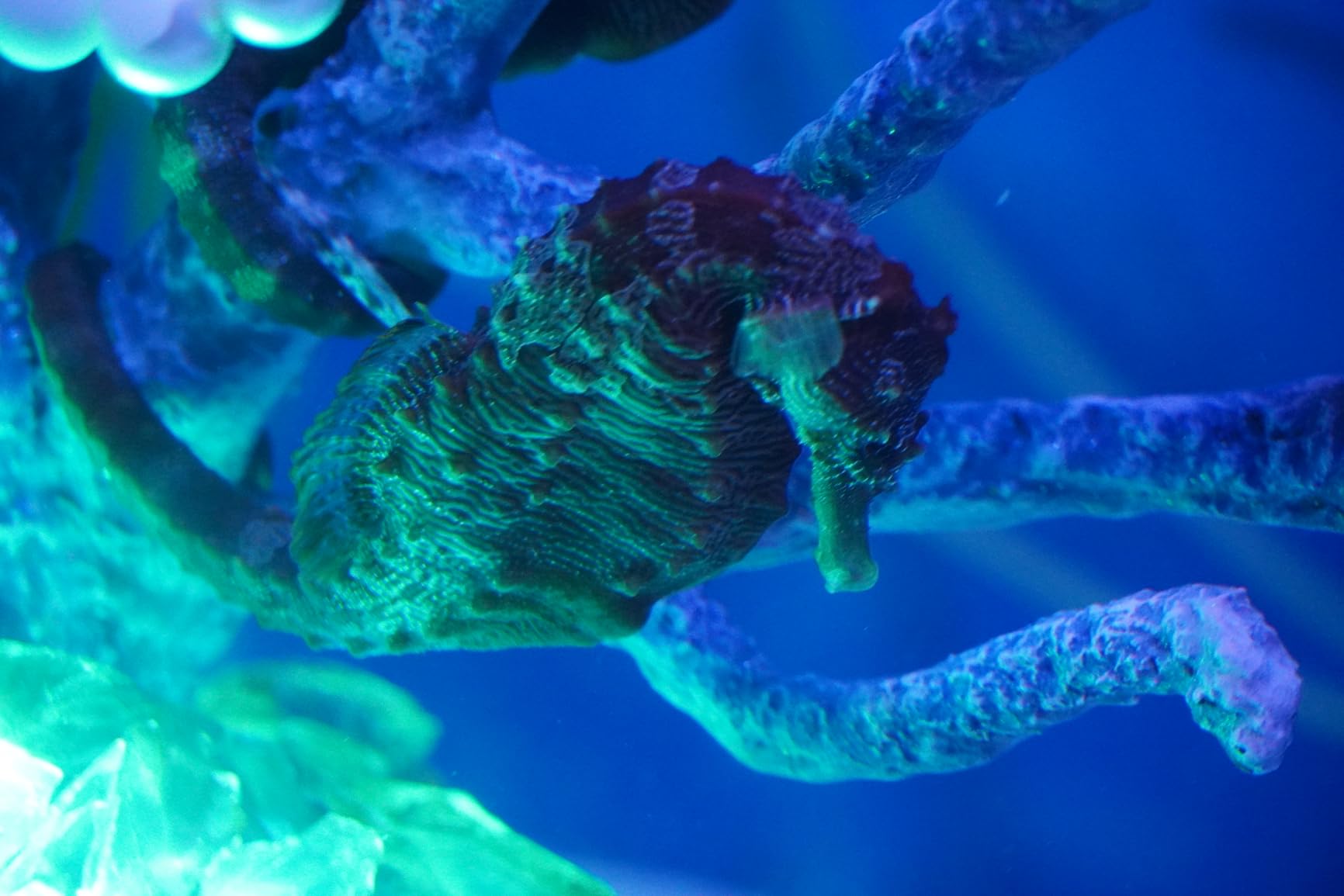 Sony Alpha a6400 16-50mm - Customer Photo 1