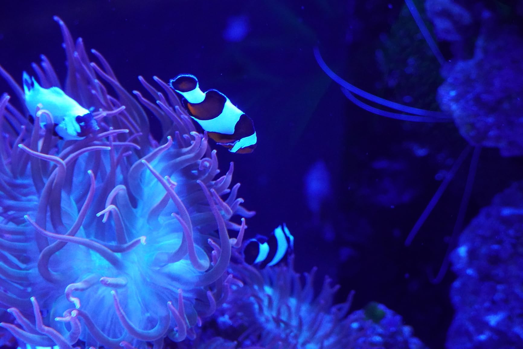 Sony Alpha a6400 16-50mm - Customer Photo 2